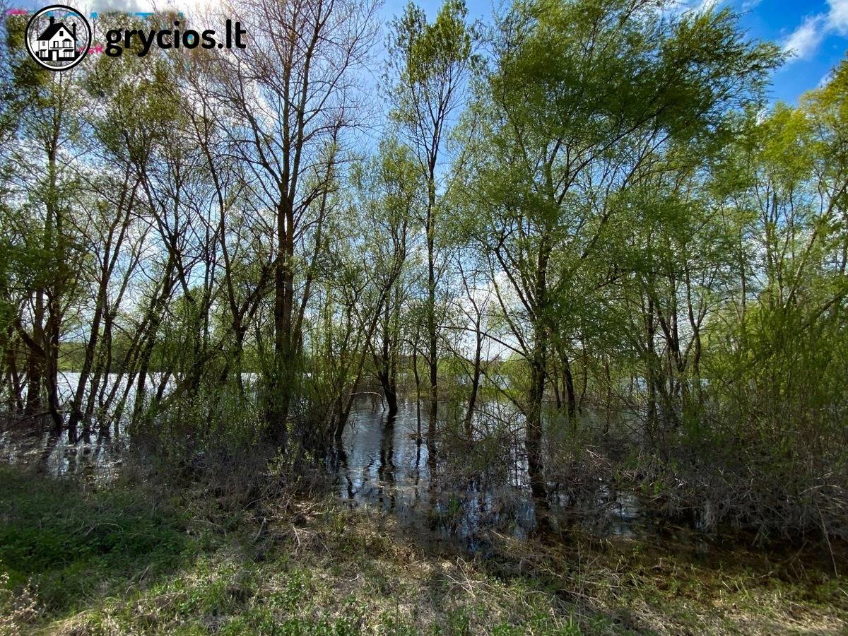 Trakų raj., Raipolio k., prie Dapų ež. paduodamas 1,326 ha sklypas su pastatais