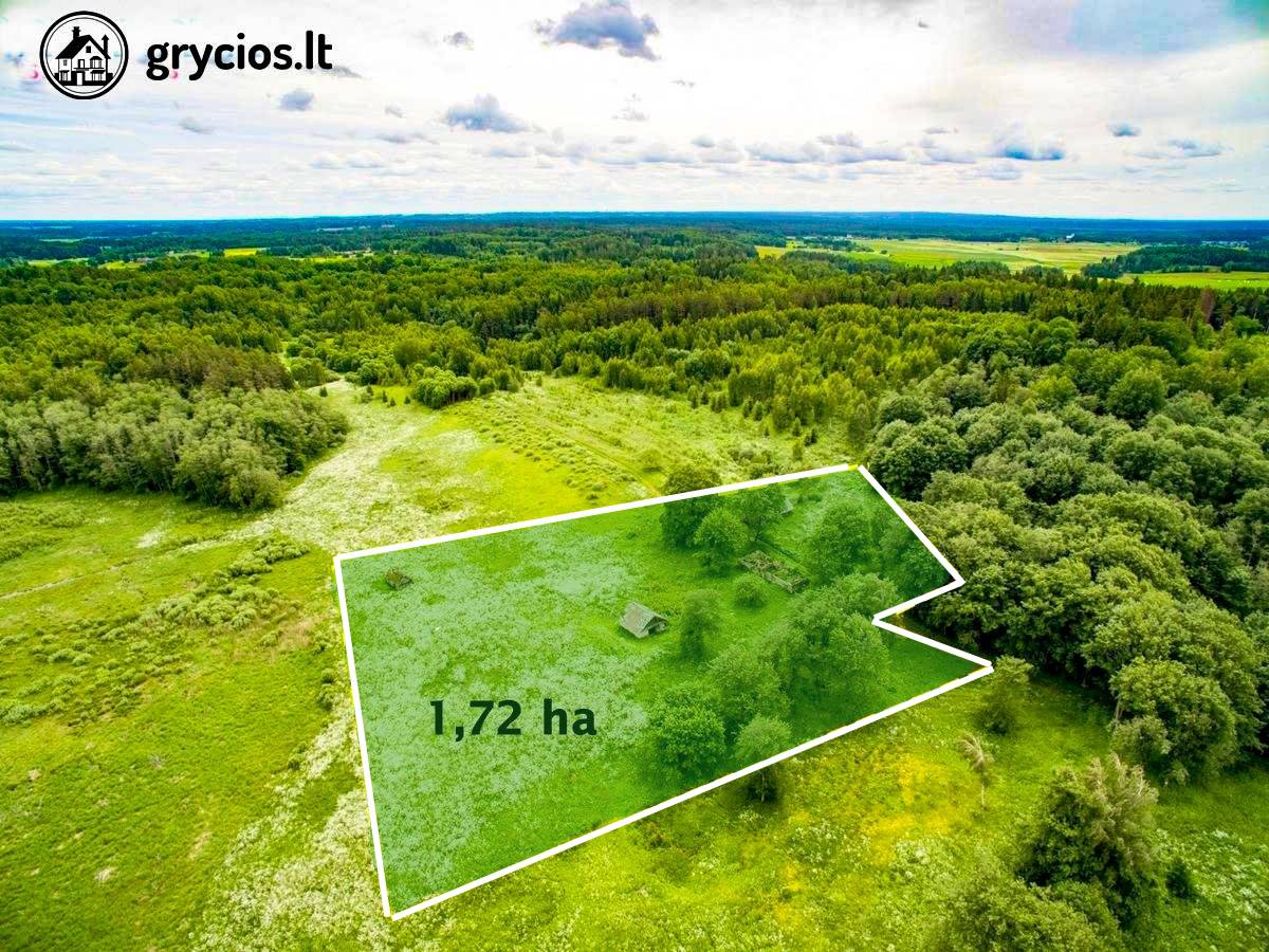 Ignalinos raj., Jurgėnų kaime, parduodama 1,72 ha buvusi sodyba