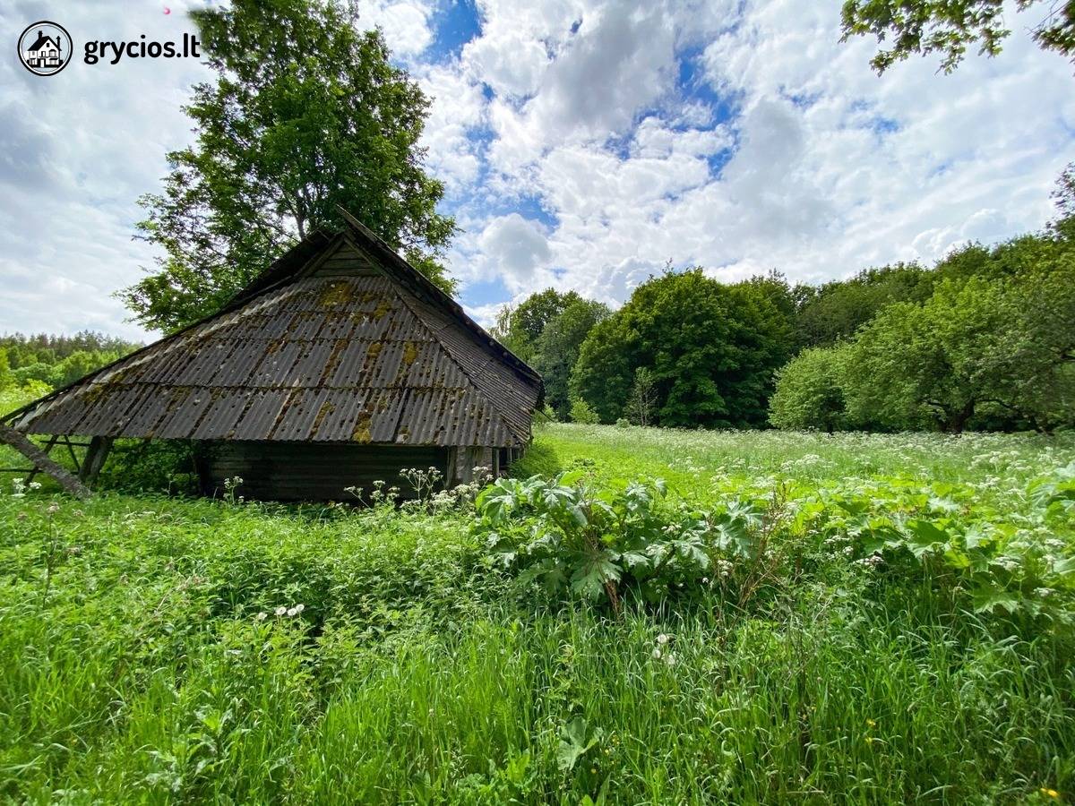 Ignalinos raj., Jurgėnų kaime, parduodama 1,72 ha buvusi sodyba