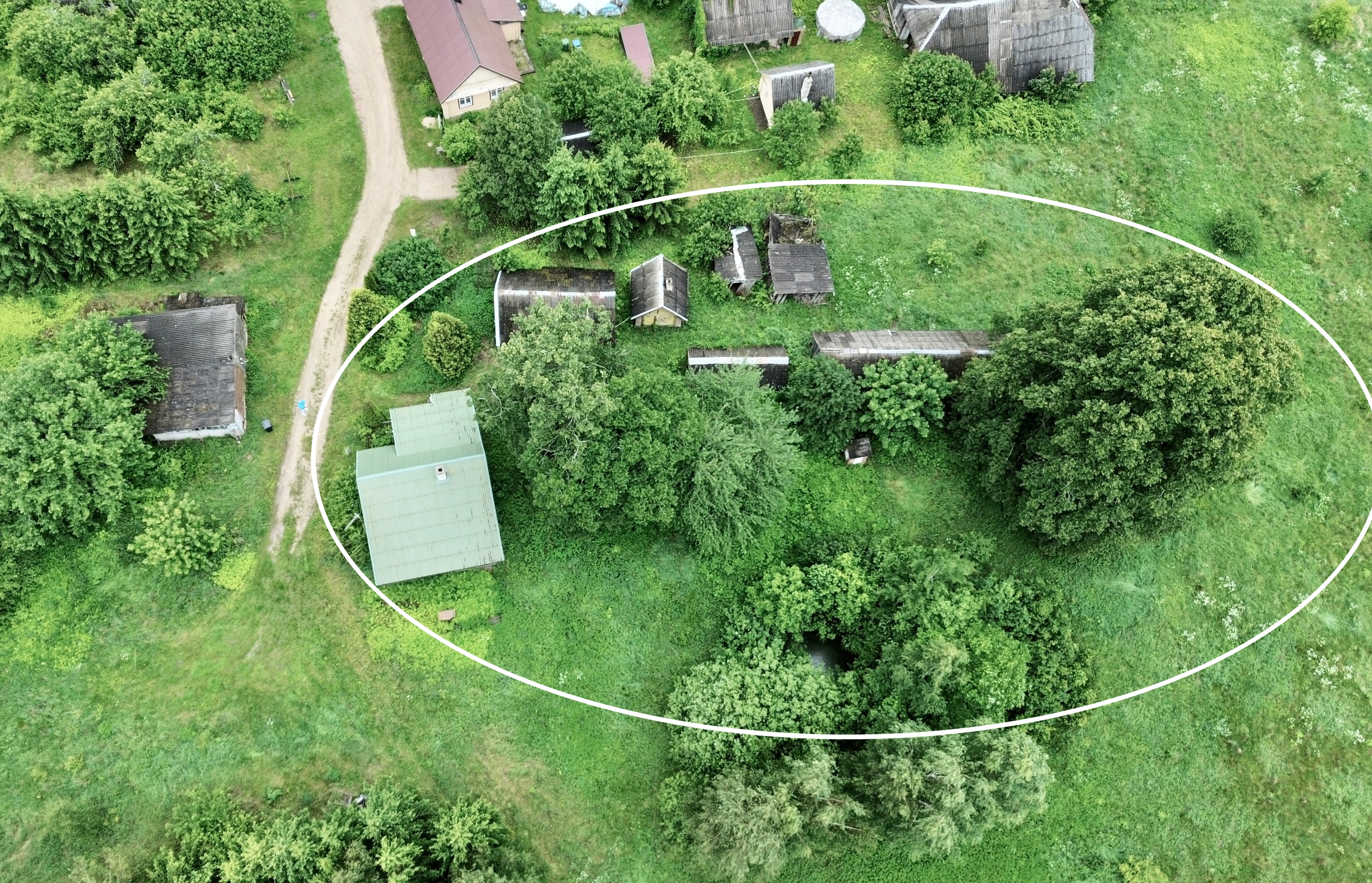 Švenčionių rajone, Žvirbliškių kaime, parduodama sodyba šalia miško su 15,75 ha sklypu