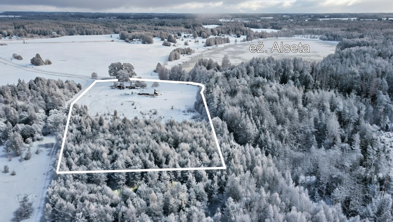 Rokiškio rajone, Alsetos kaime, parduodama sodyba prie Nemunėlio upės ir šalia Alsetos ežero