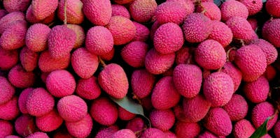 Litchi