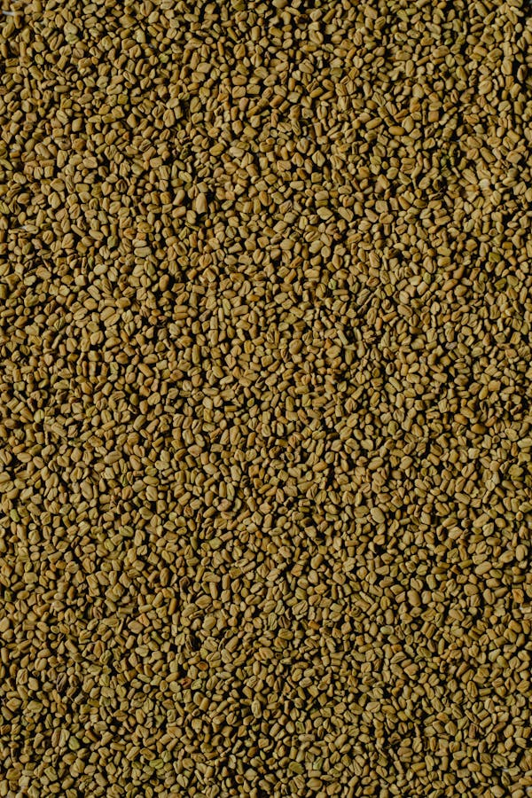 Fenugreek Seeds