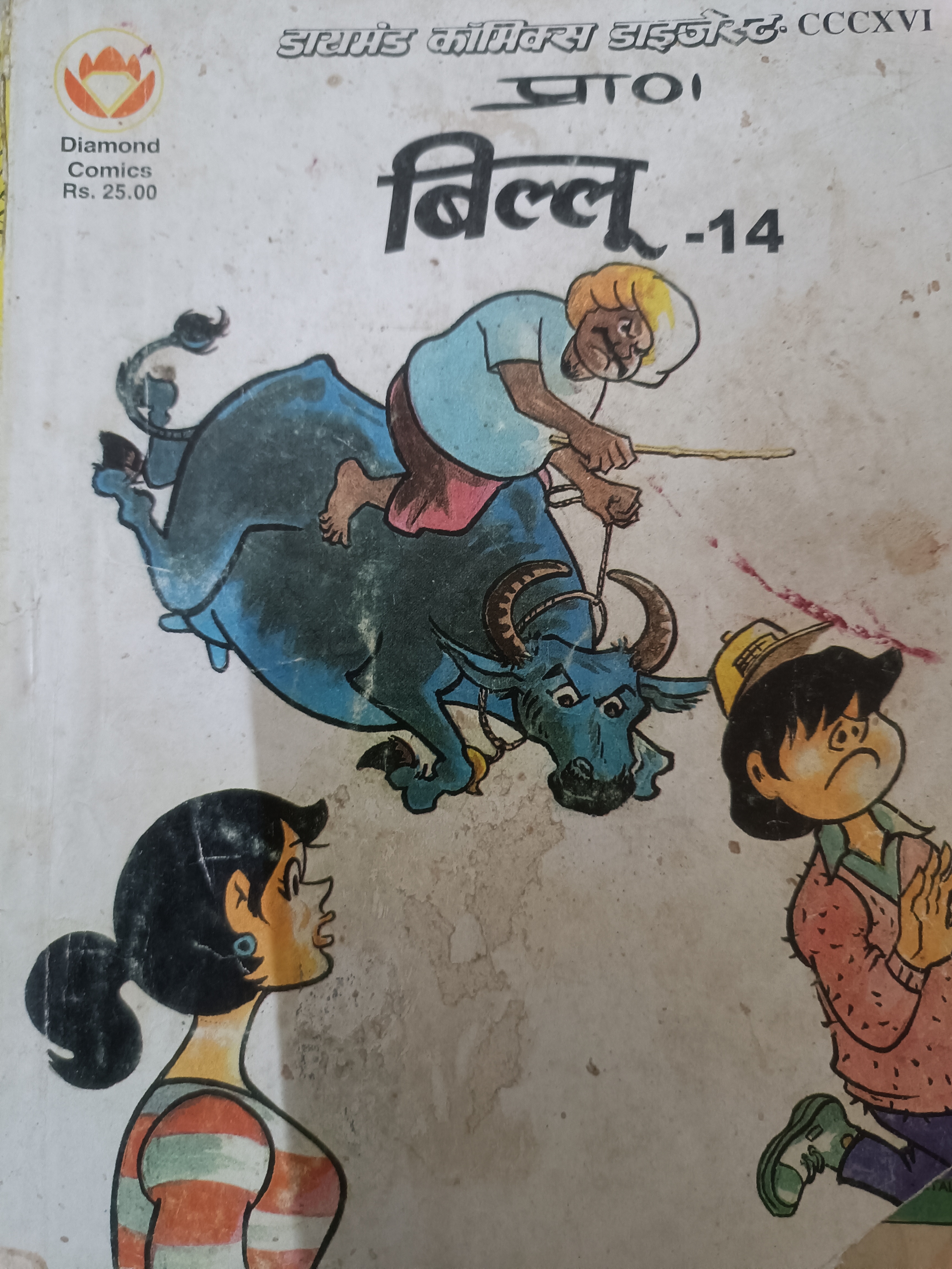 Billoo 14