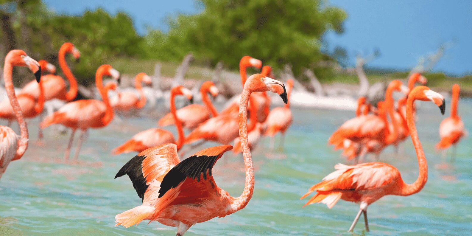 Las Coloradas