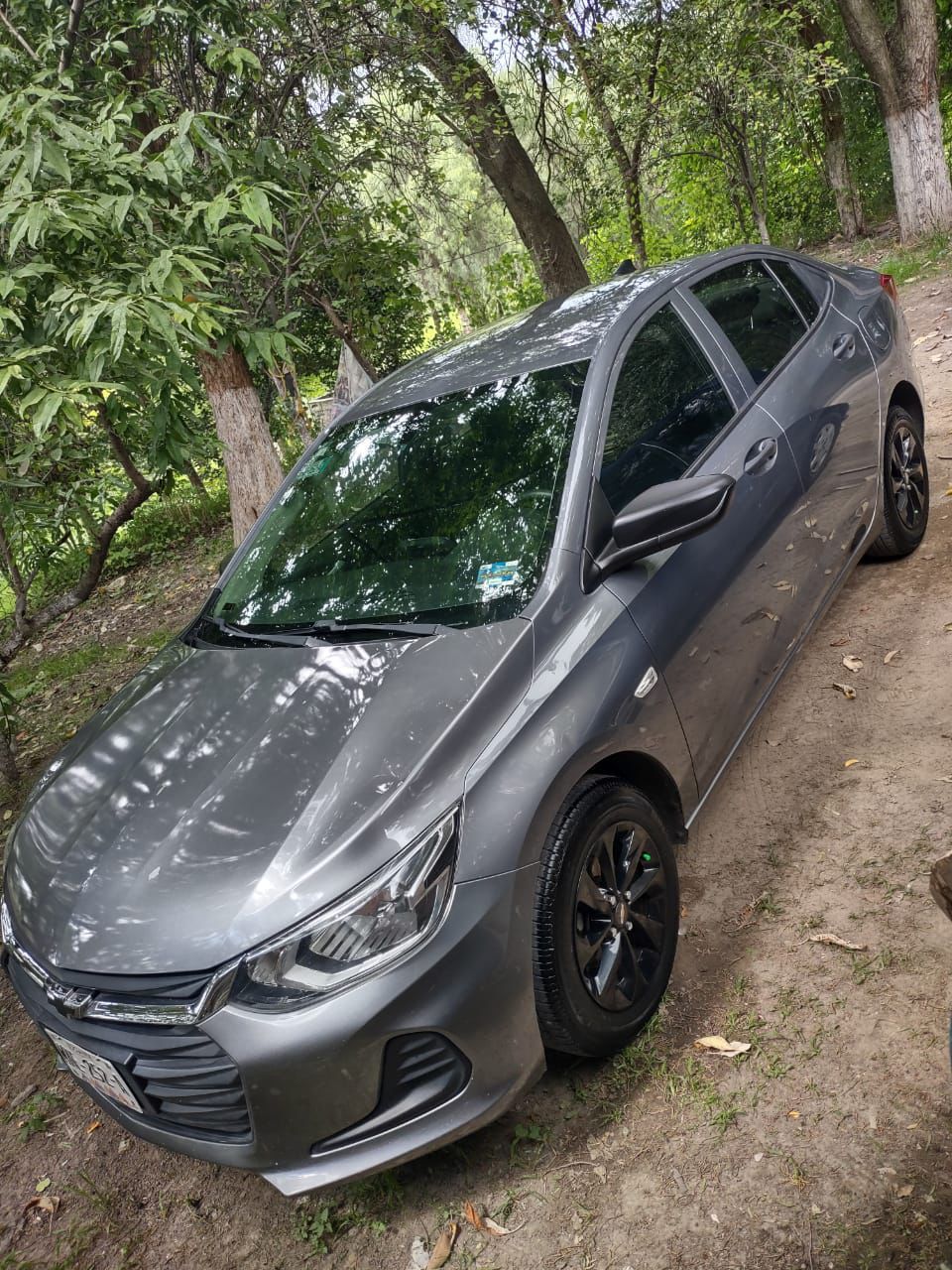 Gray Sedan
