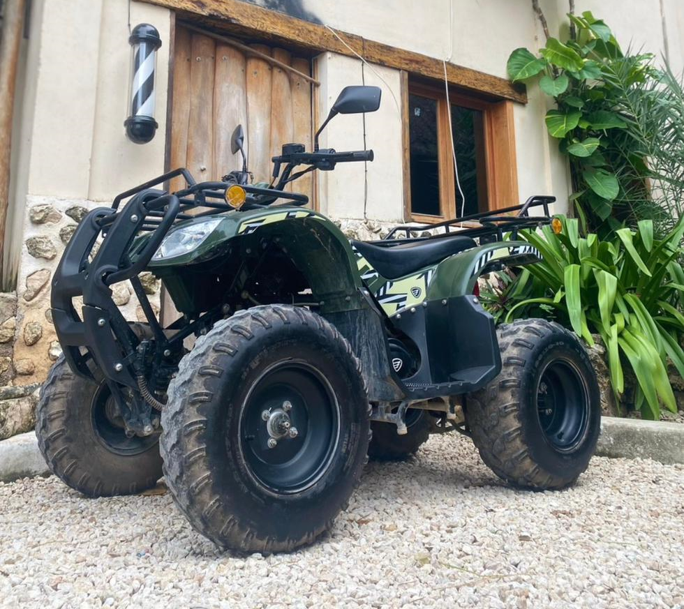 All-Terrain Vehicle (ATV)
