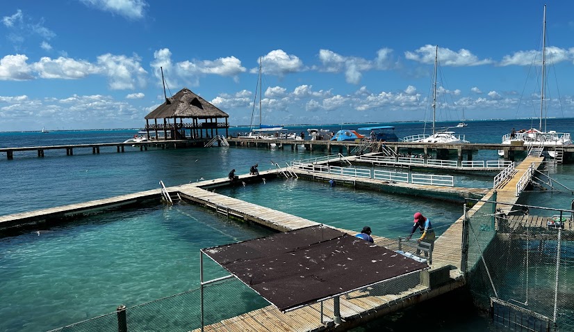 Islas Mujeres Catamarán