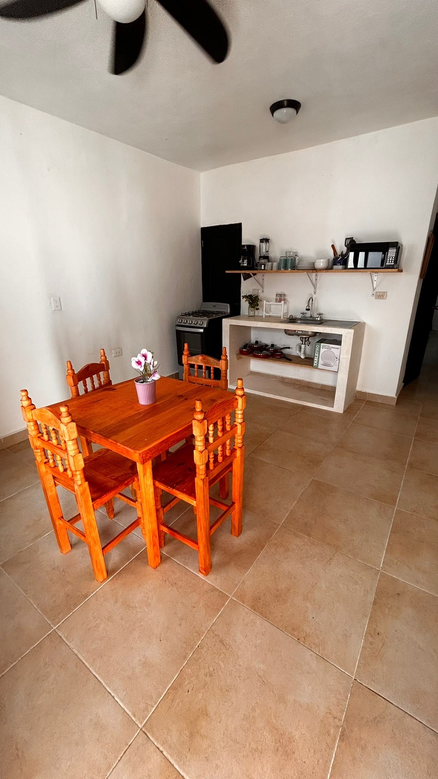 Central Apartments-💲10,000 MXN (Furnished)