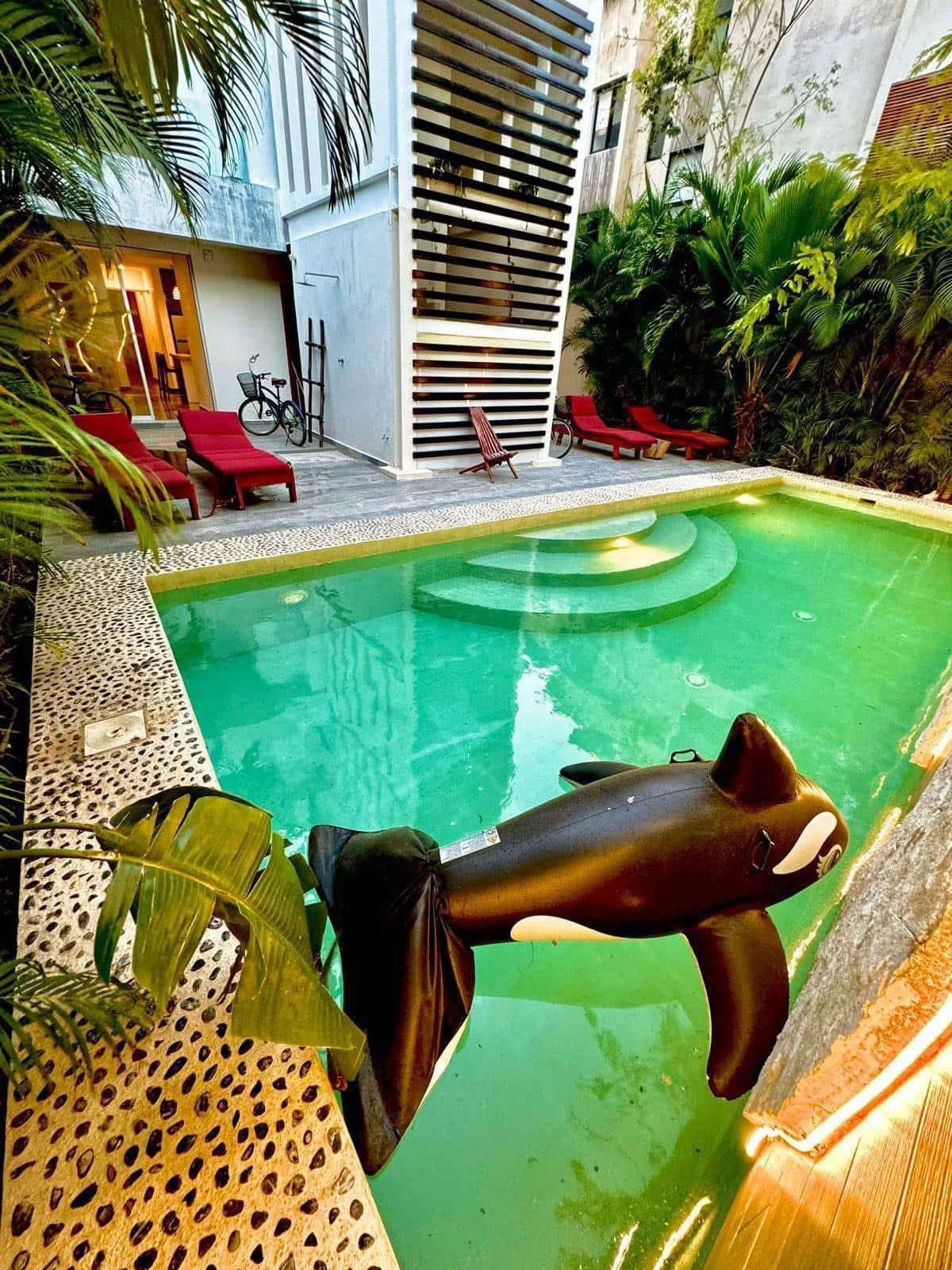 ✨ Cozy Condo– $25,000 MXN ✨