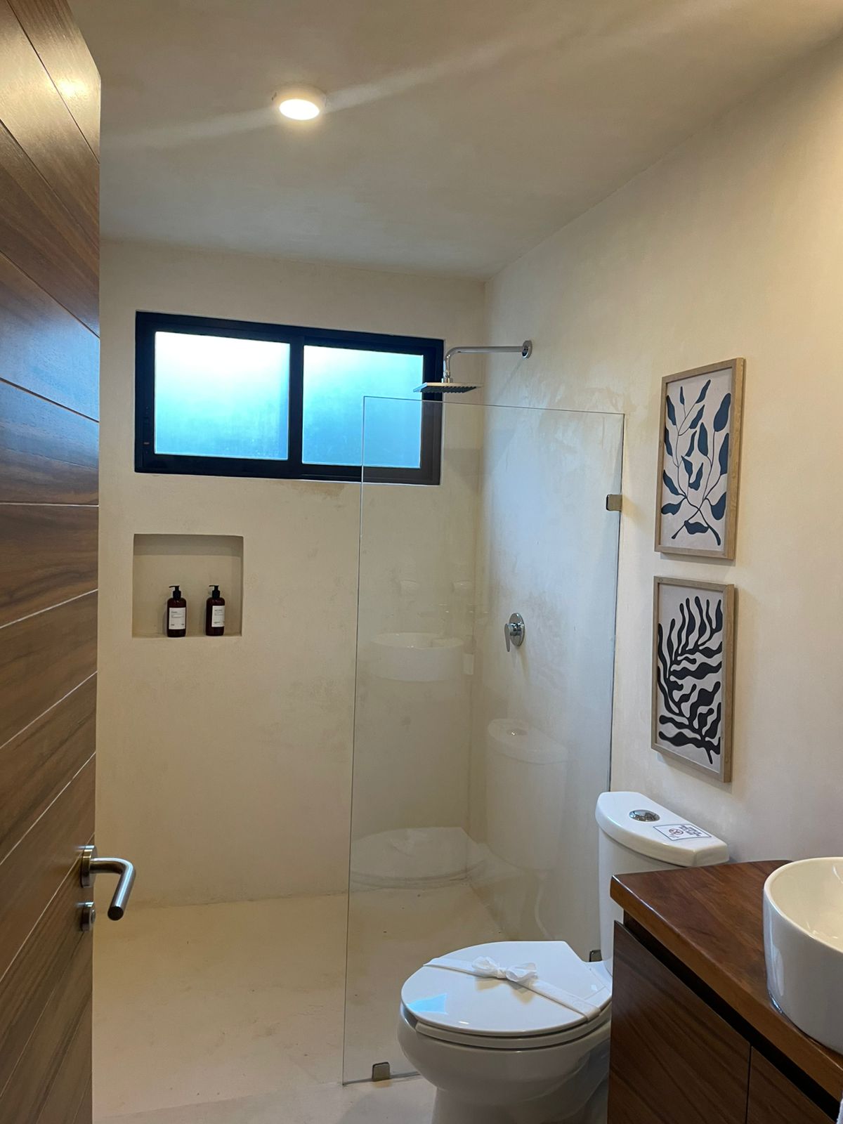 🏡 STUDIO FOR RENT –  11,000MXN