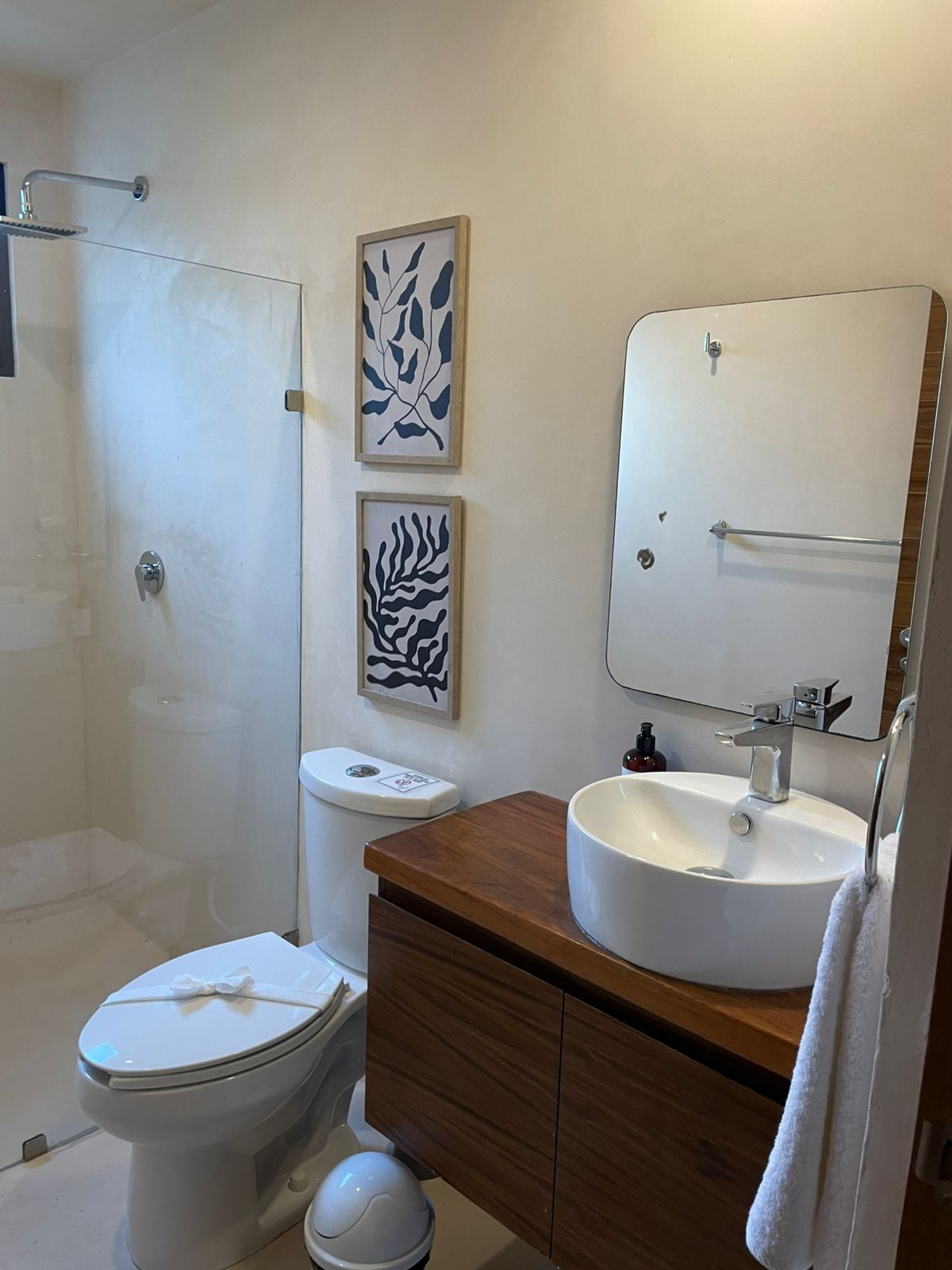 🏡 STUDIO FOR RENT –  11,000MXN