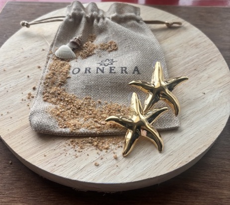 Starfish  gold-coloured earrings