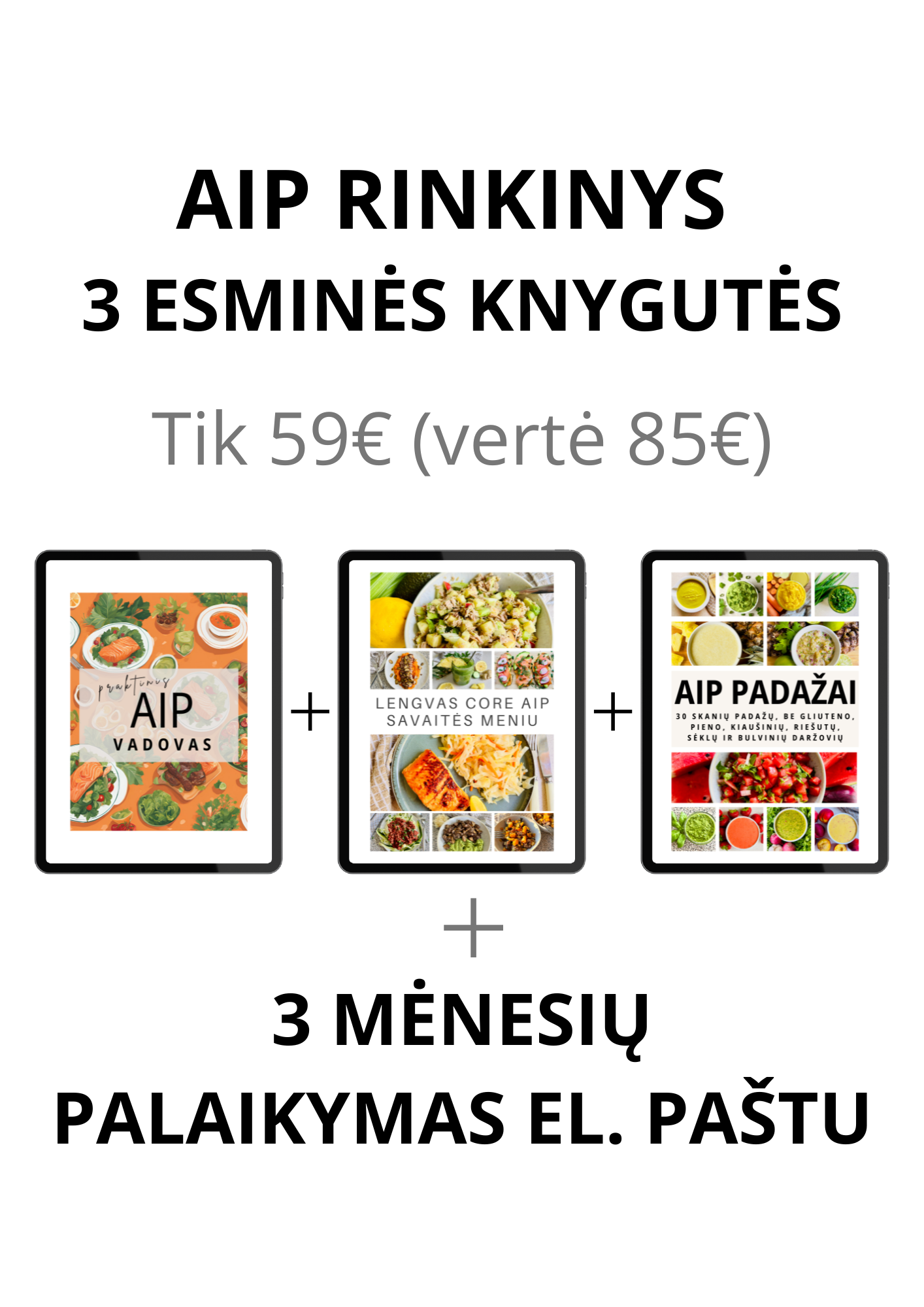 AIP knygų rinkinys su 3 mėnesių palaikymu