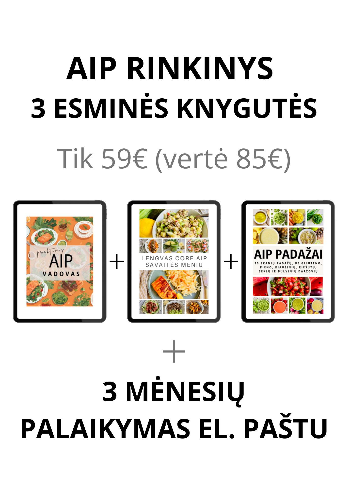AIP knygų rinkinys su 3 mėnesių palaikymu
