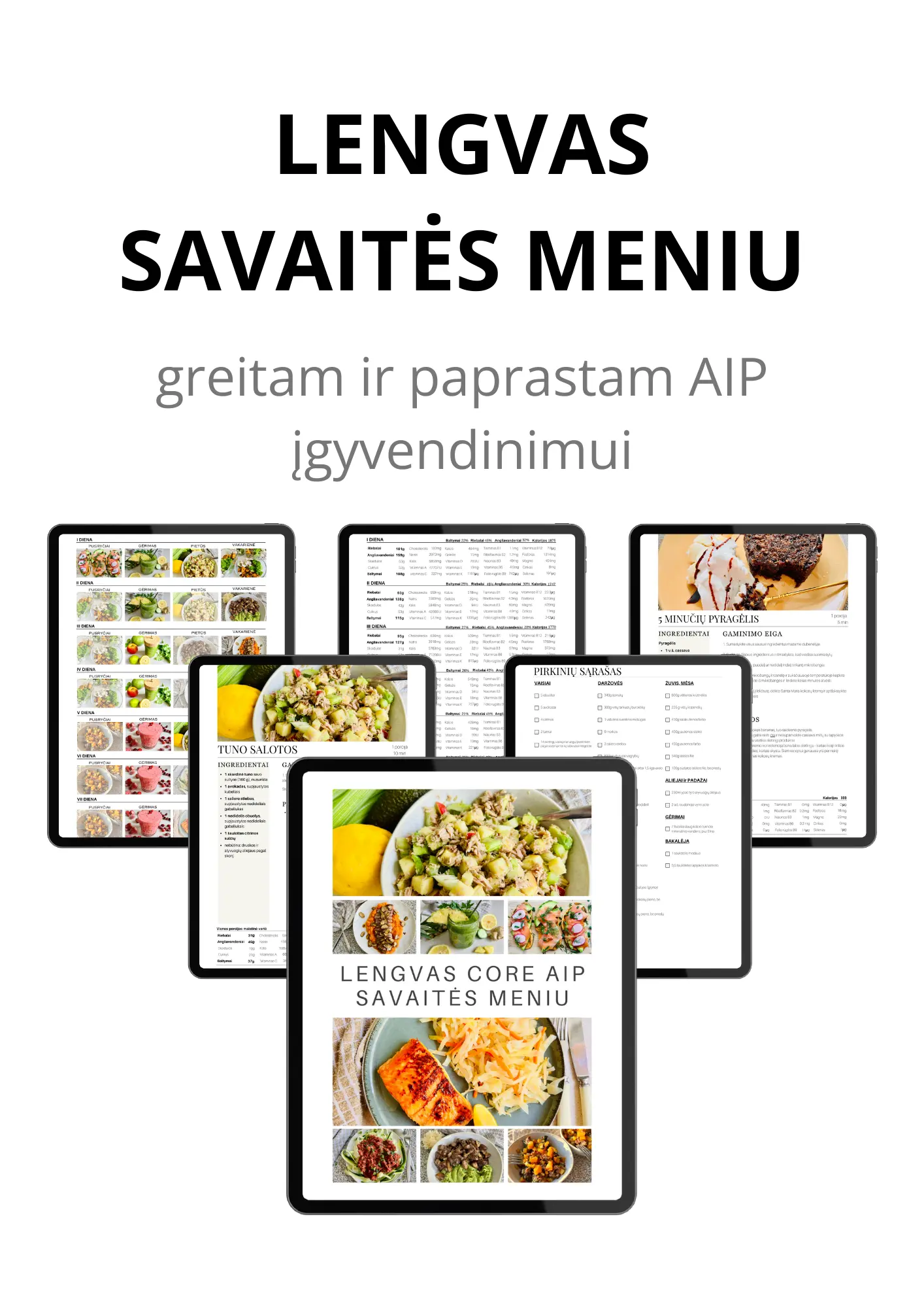 AIP knygų rinkinys su 3 mėnesių palaikymu