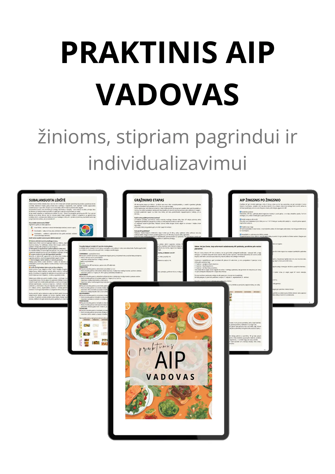 AIP knygų rinkinys su 3 mėnesių palaikymu