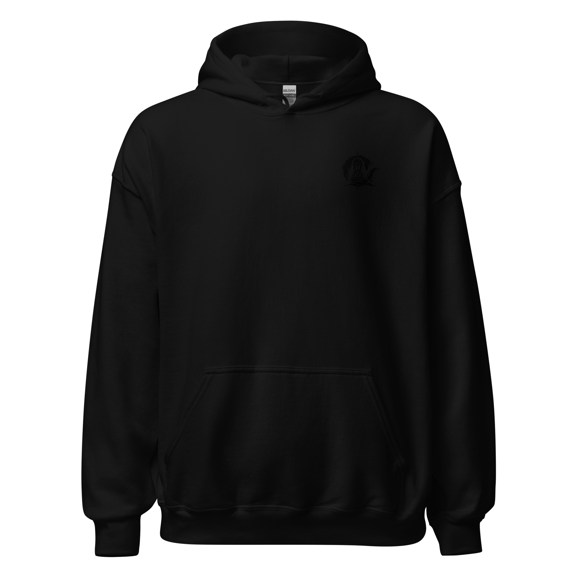 Zani Hoodie Wuthering Waves Wuwa Fanart