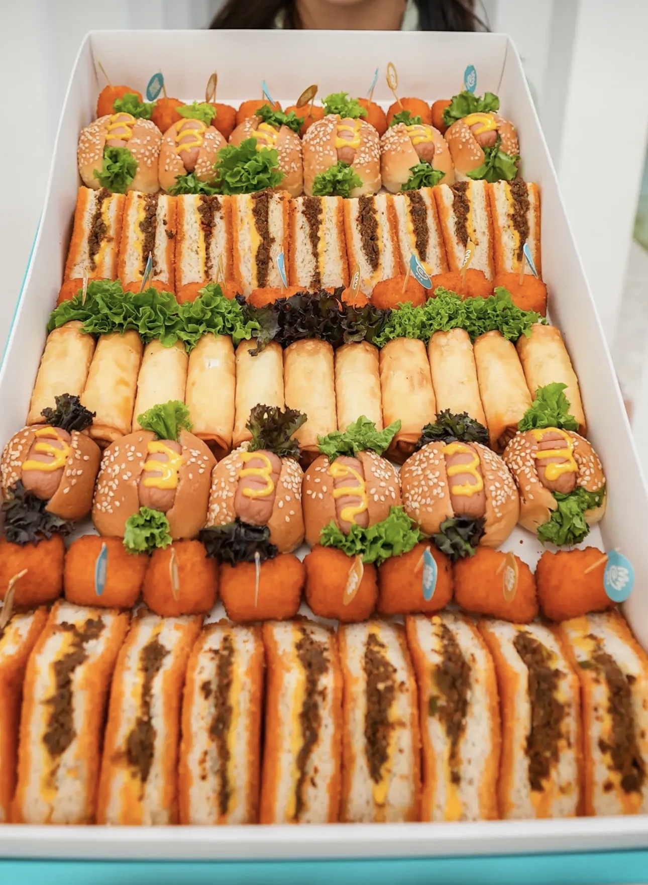 Gourmet Mixed Party Platter 63PCS