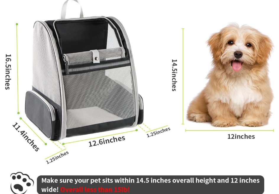 Innovative Traveler Bubble Backpack Pet Carriers for Cats and Dogs (Black)