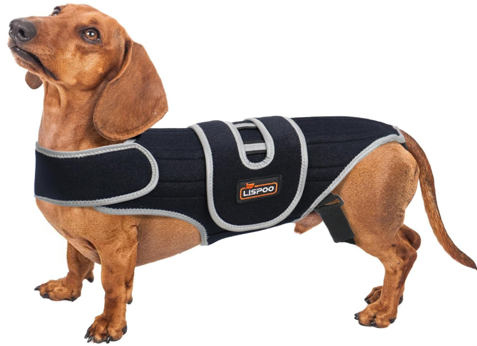 Dog Back Brace for IVDD, Arthritis and Pain Relief, Ivdd Back Brace for Dogs, Accelerates Surgical Recovery, Back Brace for Dogs Prevents Back Problems in Small Dogs and Large Dogs S
