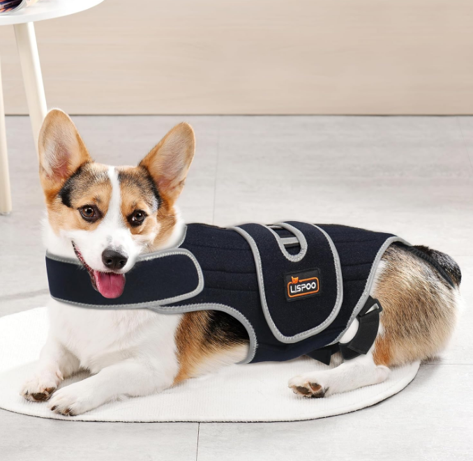 Dog Back Brace for IVDD, Arthritis and Pain Relief, Ivdd Back Brace for Dogs, Accelerates Surgical Recovery, Back Brace for Dogs Prevents Back Problems in Small Dogs and Large Dogs S
