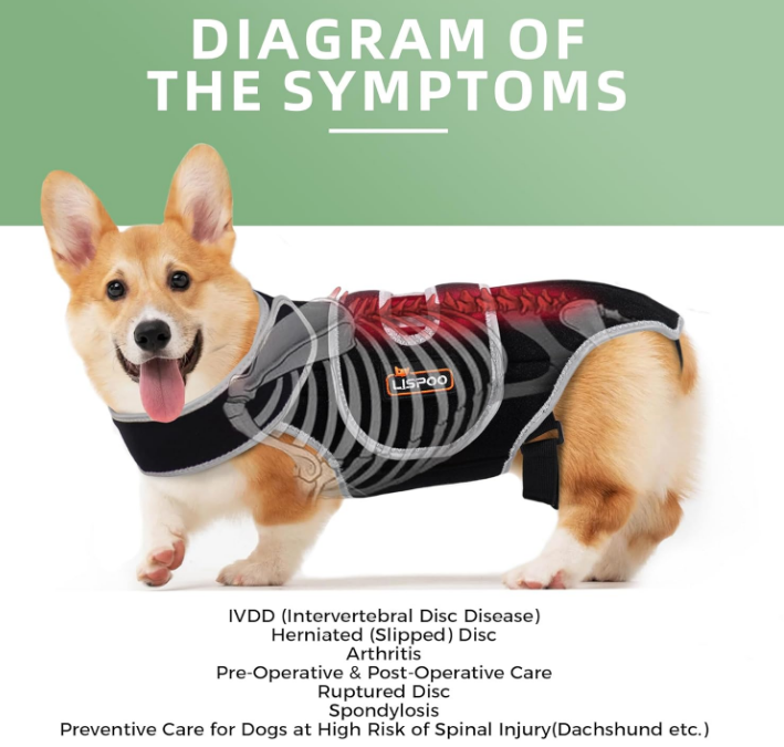 Dog Back Brace for IVDD, Arthritis and Pain Relief, Ivdd Back Brace for Dogs, Accelerates Surgical Recovery, Back Brace for Dogs Prevents Back Problems in Small Dogs and Large Dogs S