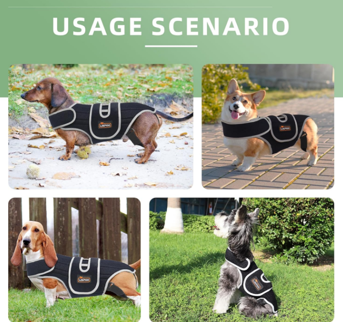 Dog Back Brace for IVDD, Arthritis and Pain Relief, Ivdd Back Brace for Dogs, Accelerates Surgical Recovery, Back Brace for Dogs Prevents Back Problems in Small Dogs and Large Dogs S