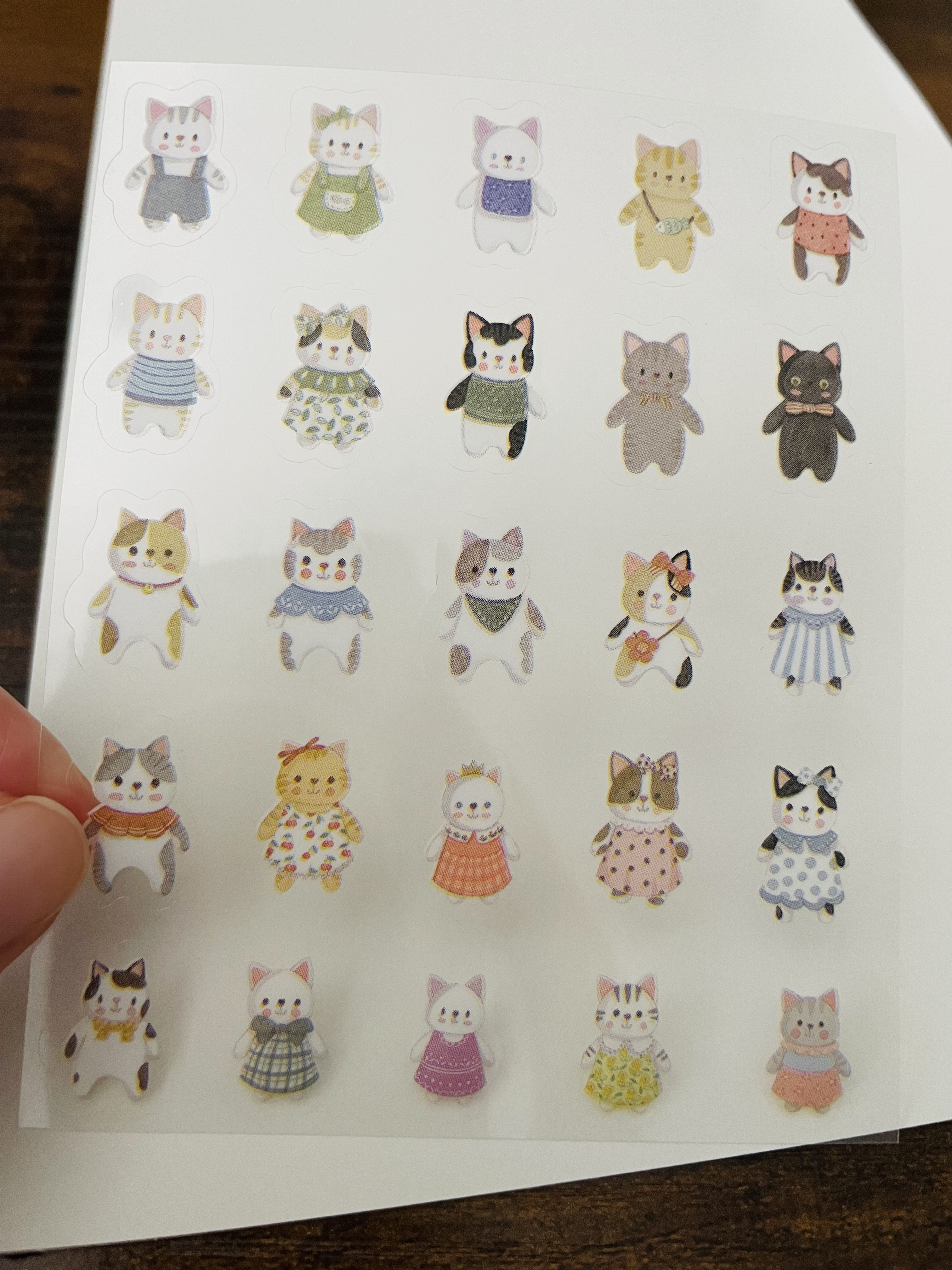 Cute Dress-up Cat Character Stickers