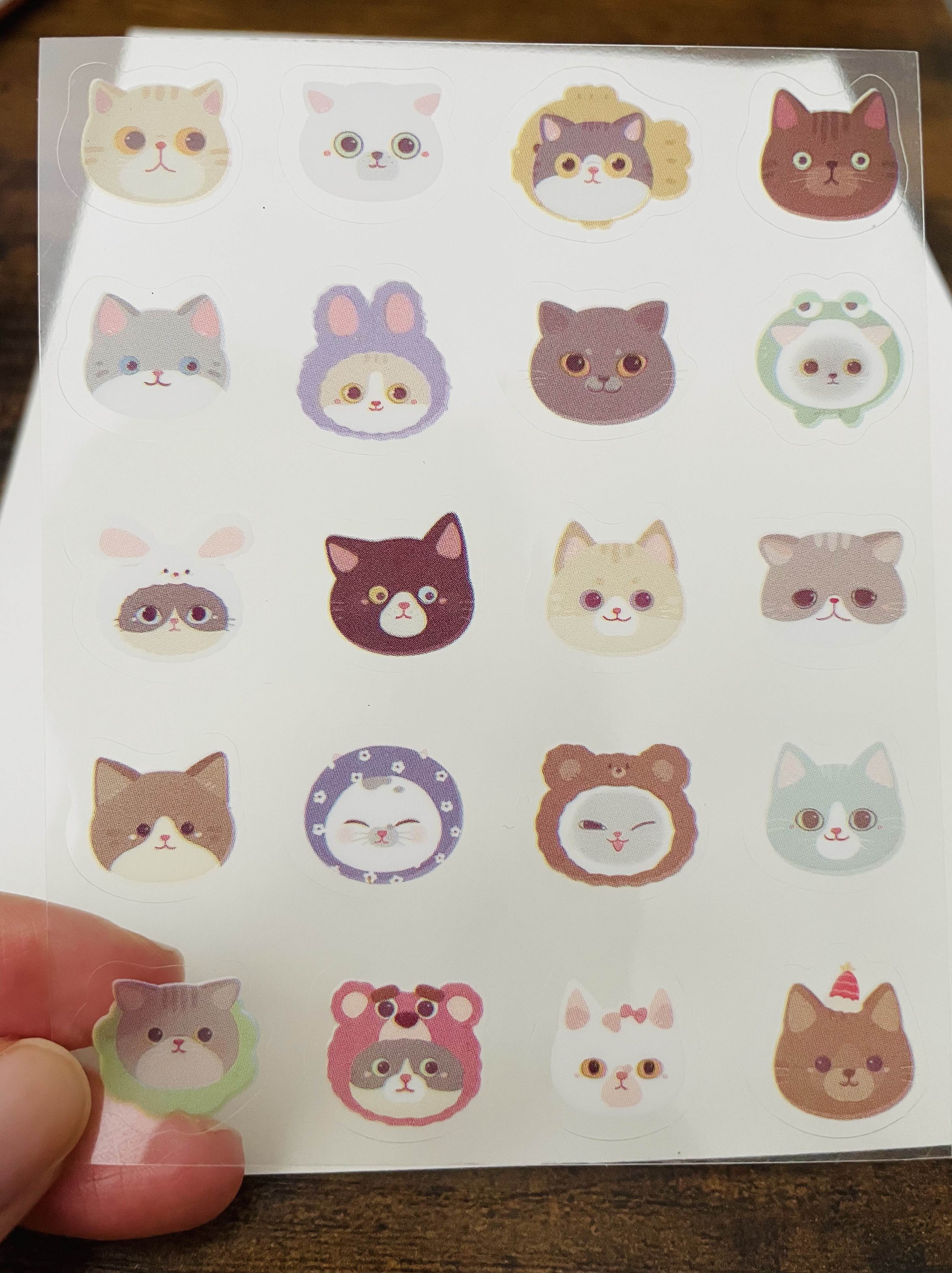 Cute Cat Face Stickers