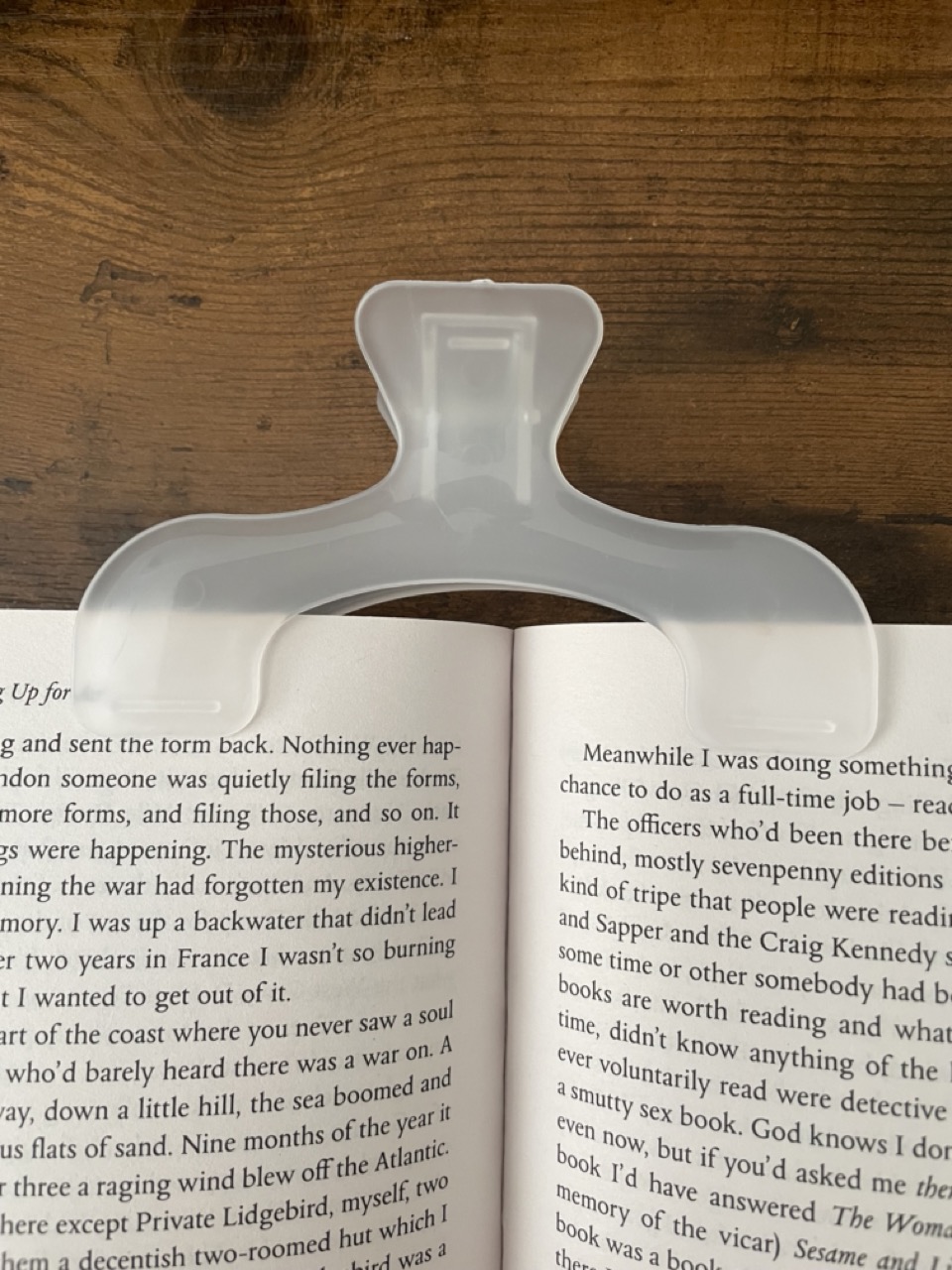 Transparent Clear Book Clip 