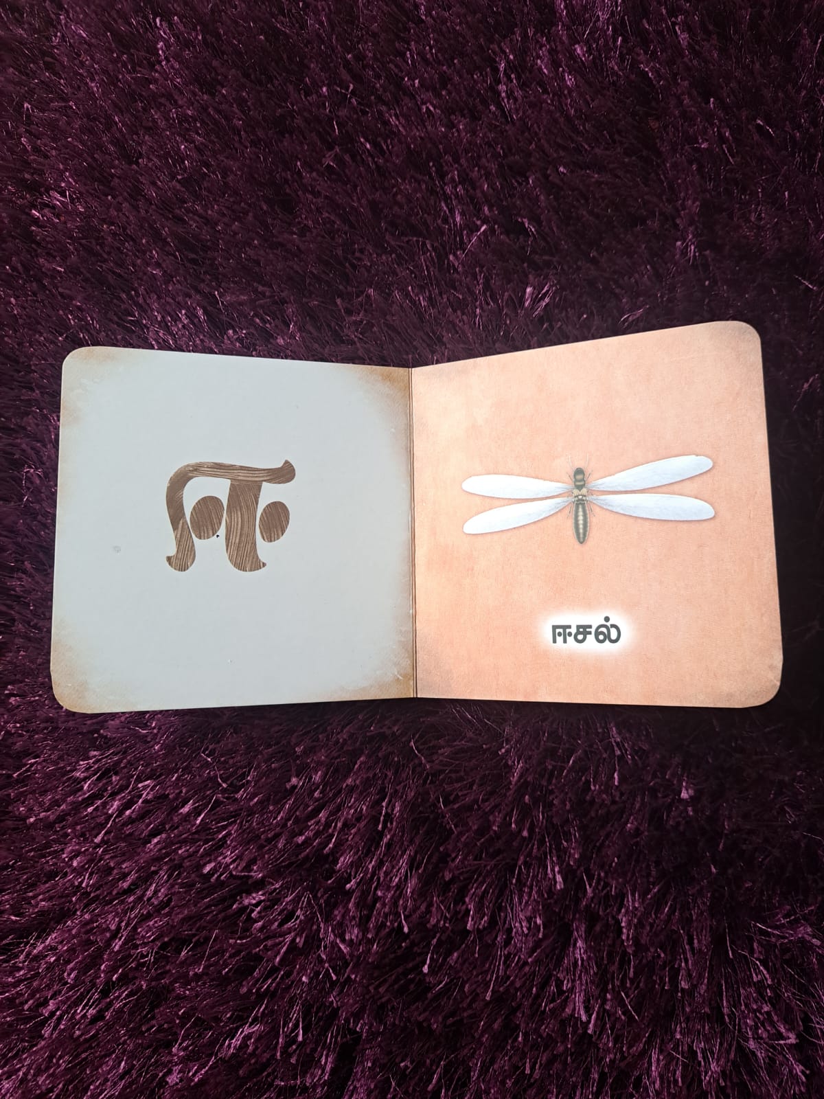 A Aa E Ee - Tamil Alphabet board Book