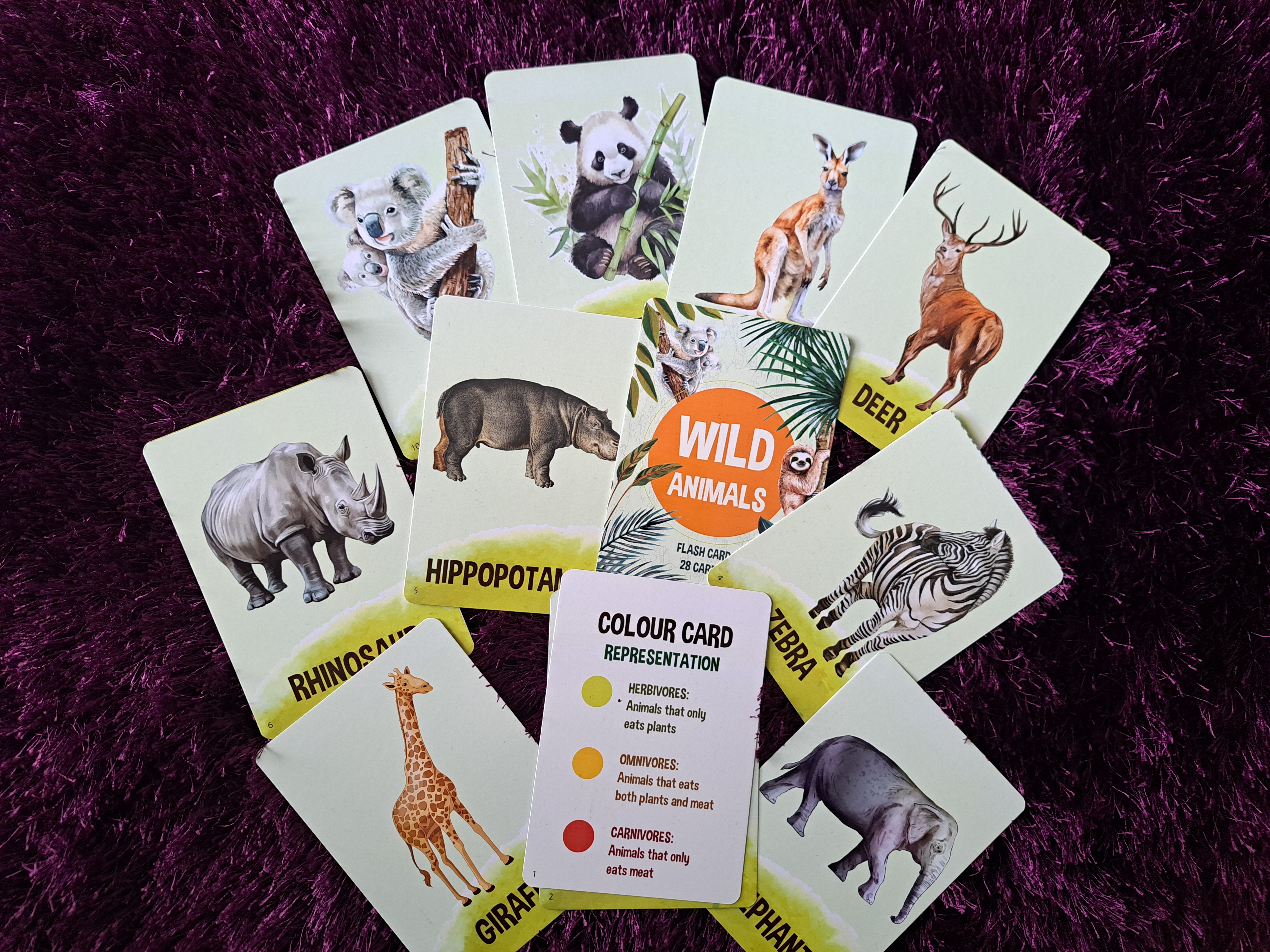 Wild Animals Flash Cards