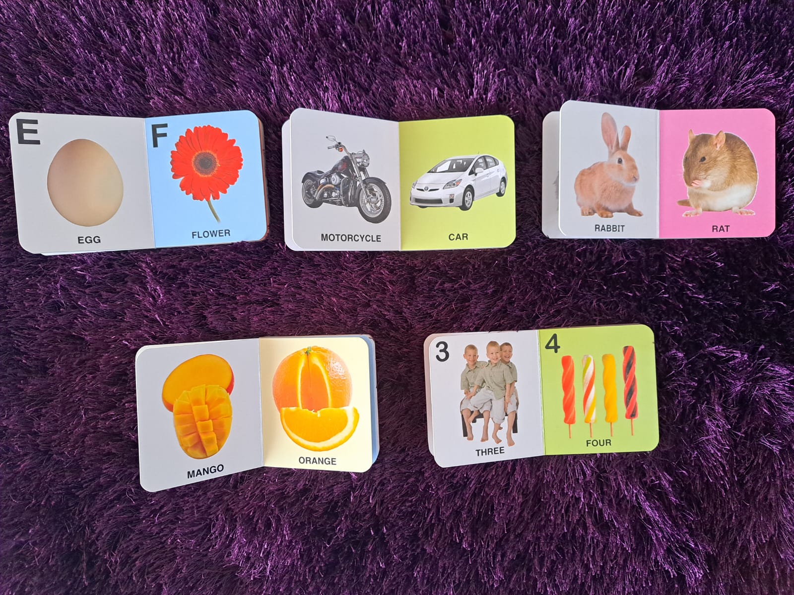 Sparkle Board Books Mini