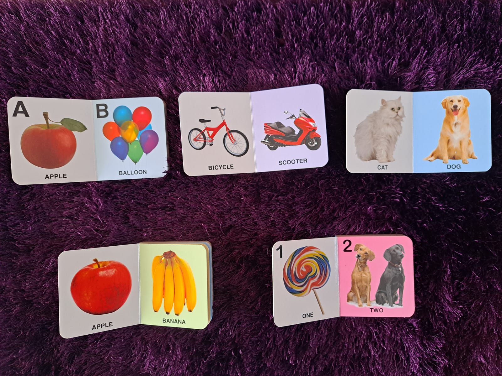 Sparkle Board Books Mini