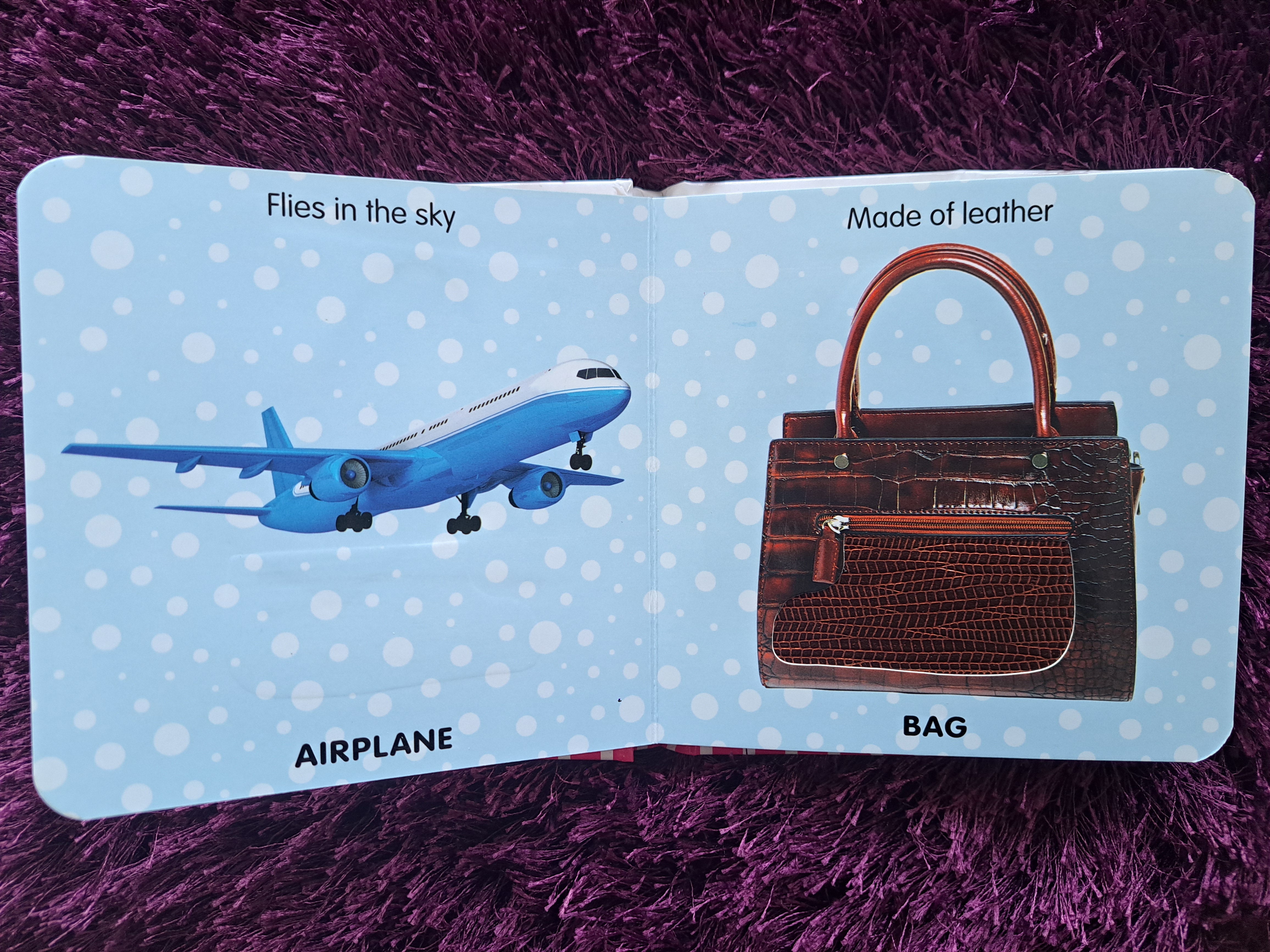 Touch And Feel - My First Words