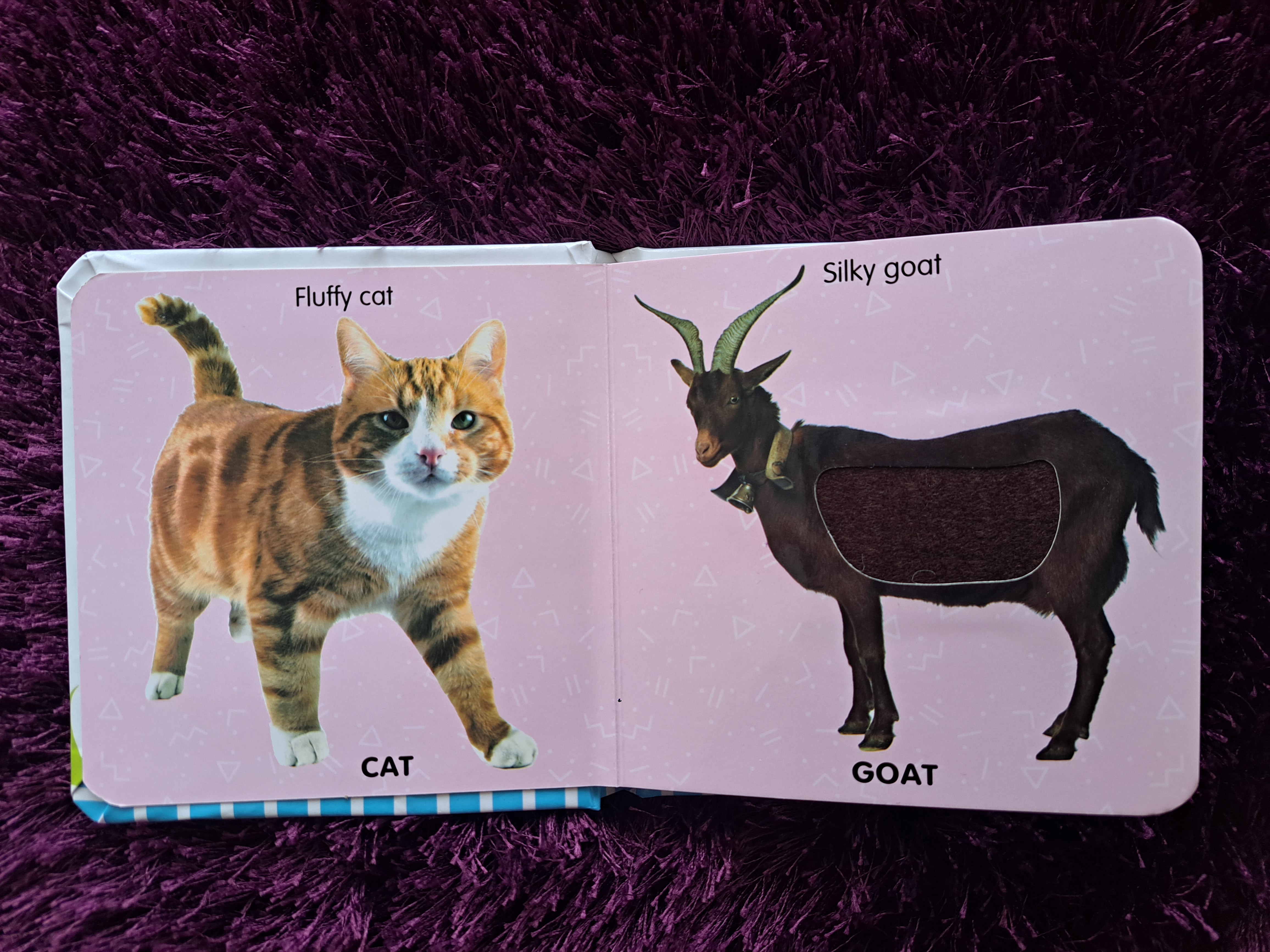 Touch And Feel - Farm Animals