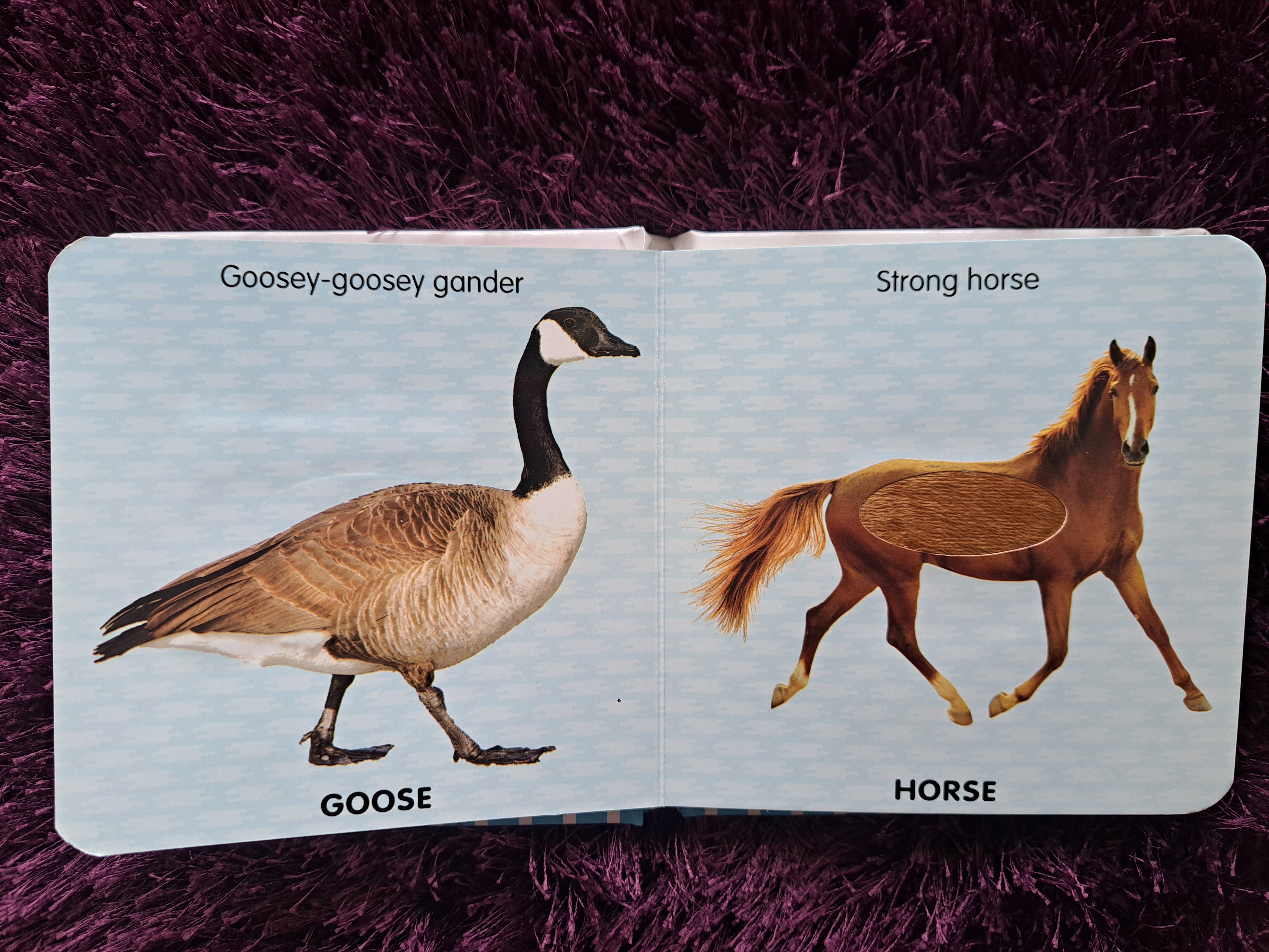 Touch And Feel - Farm Animals