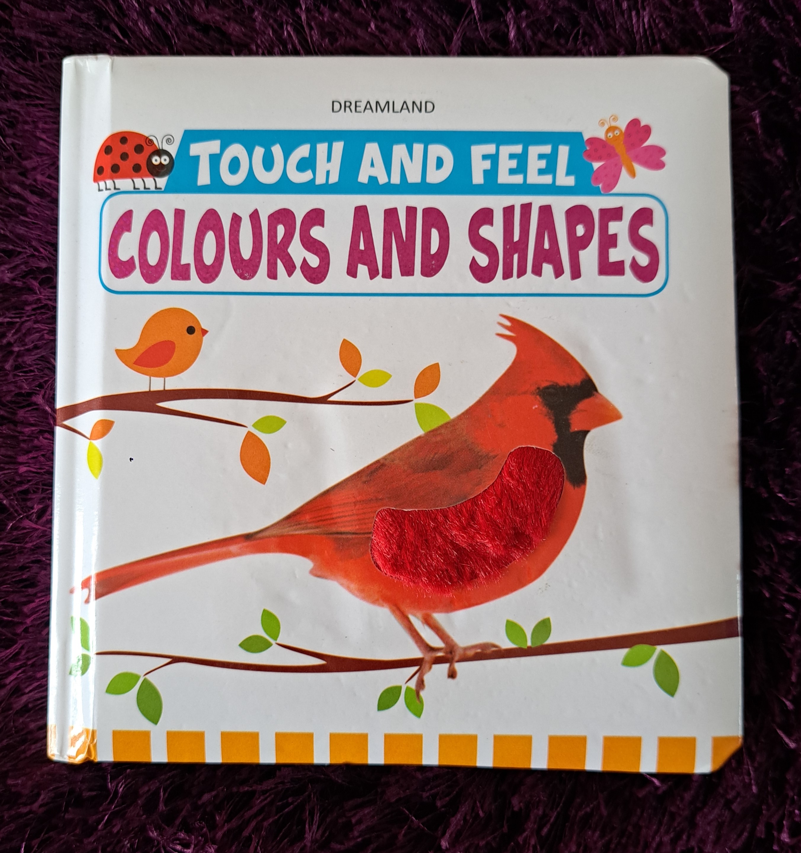 Touch And Feel - Colours And Shapes