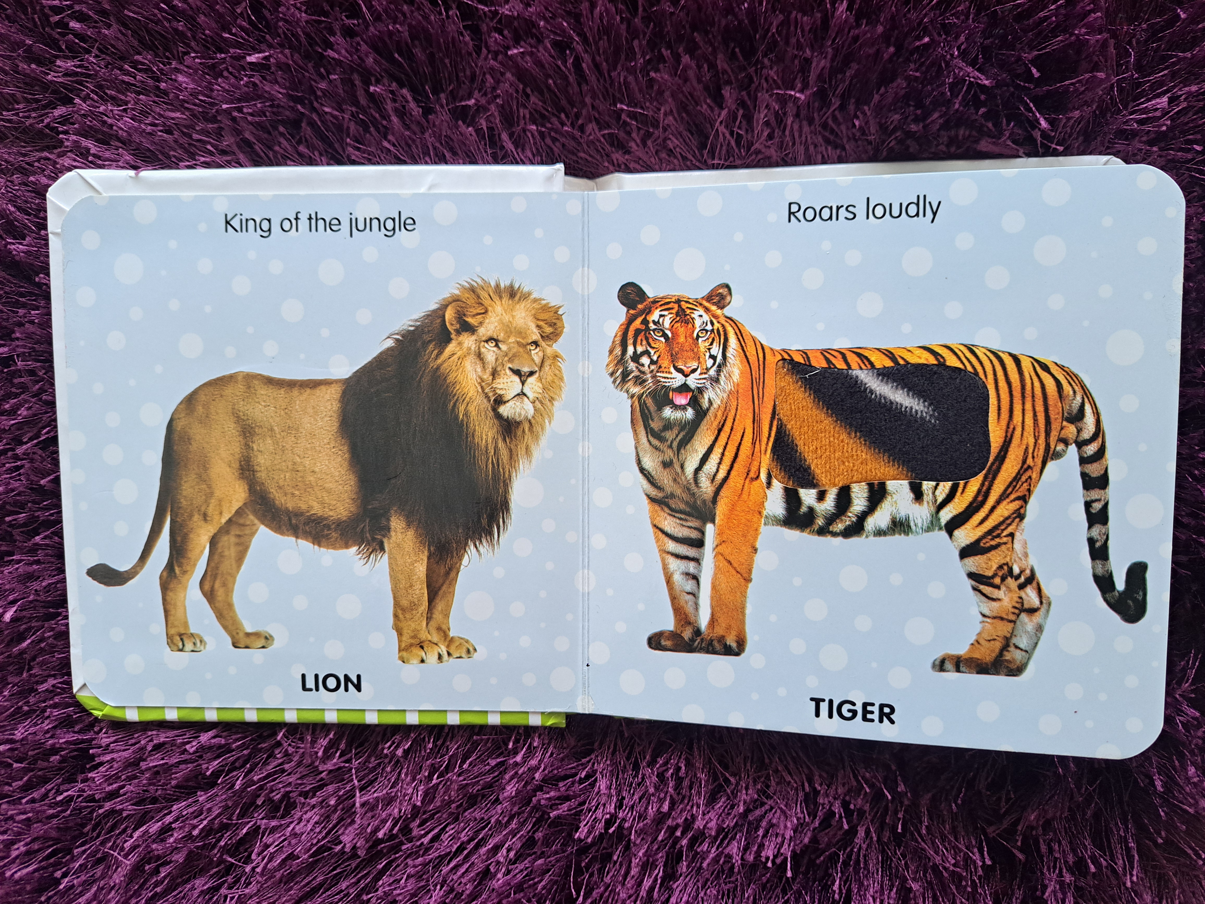 Touch And Feel - Jungle Animals