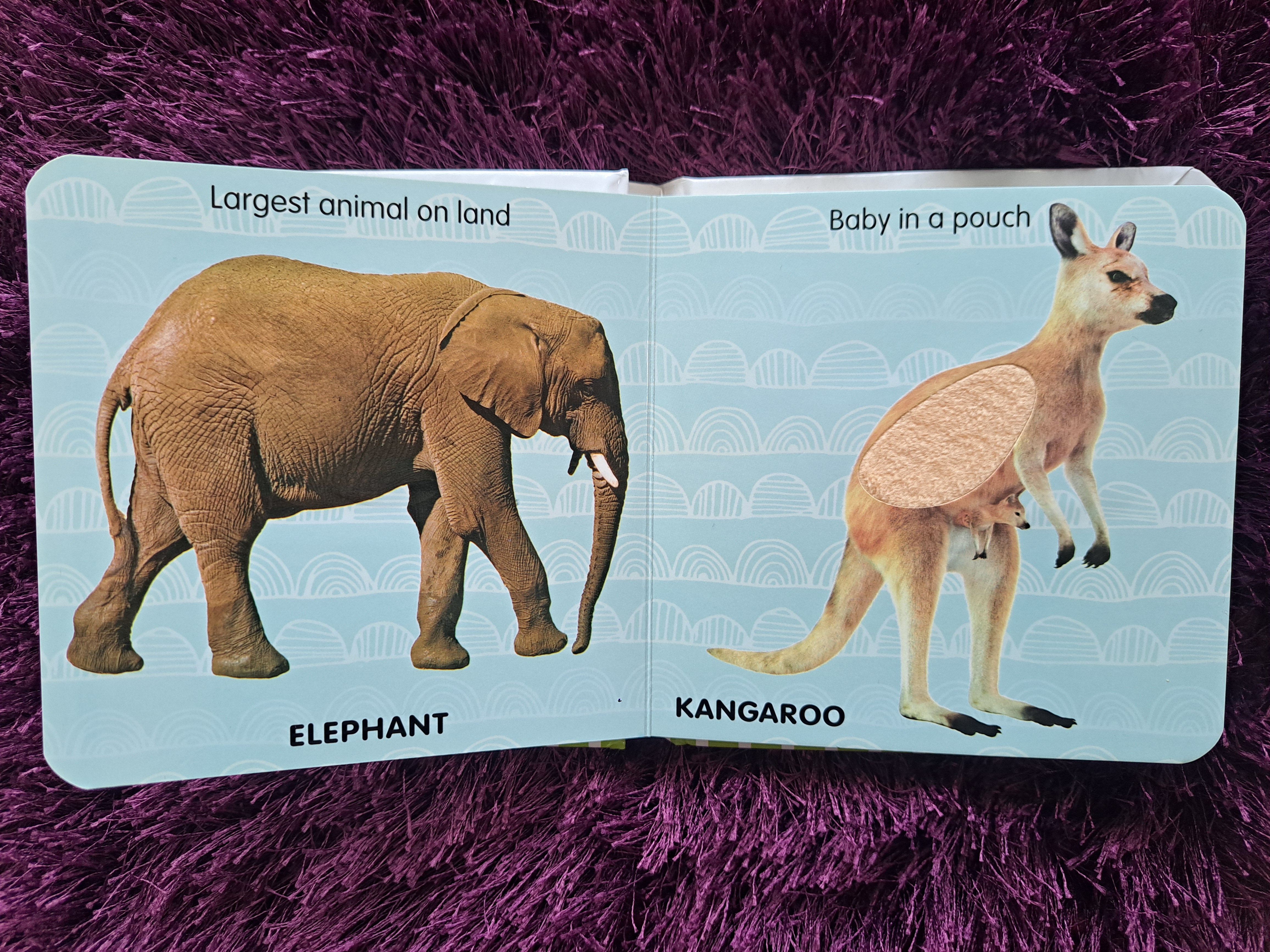 Touch And Feel - Jungle Animals