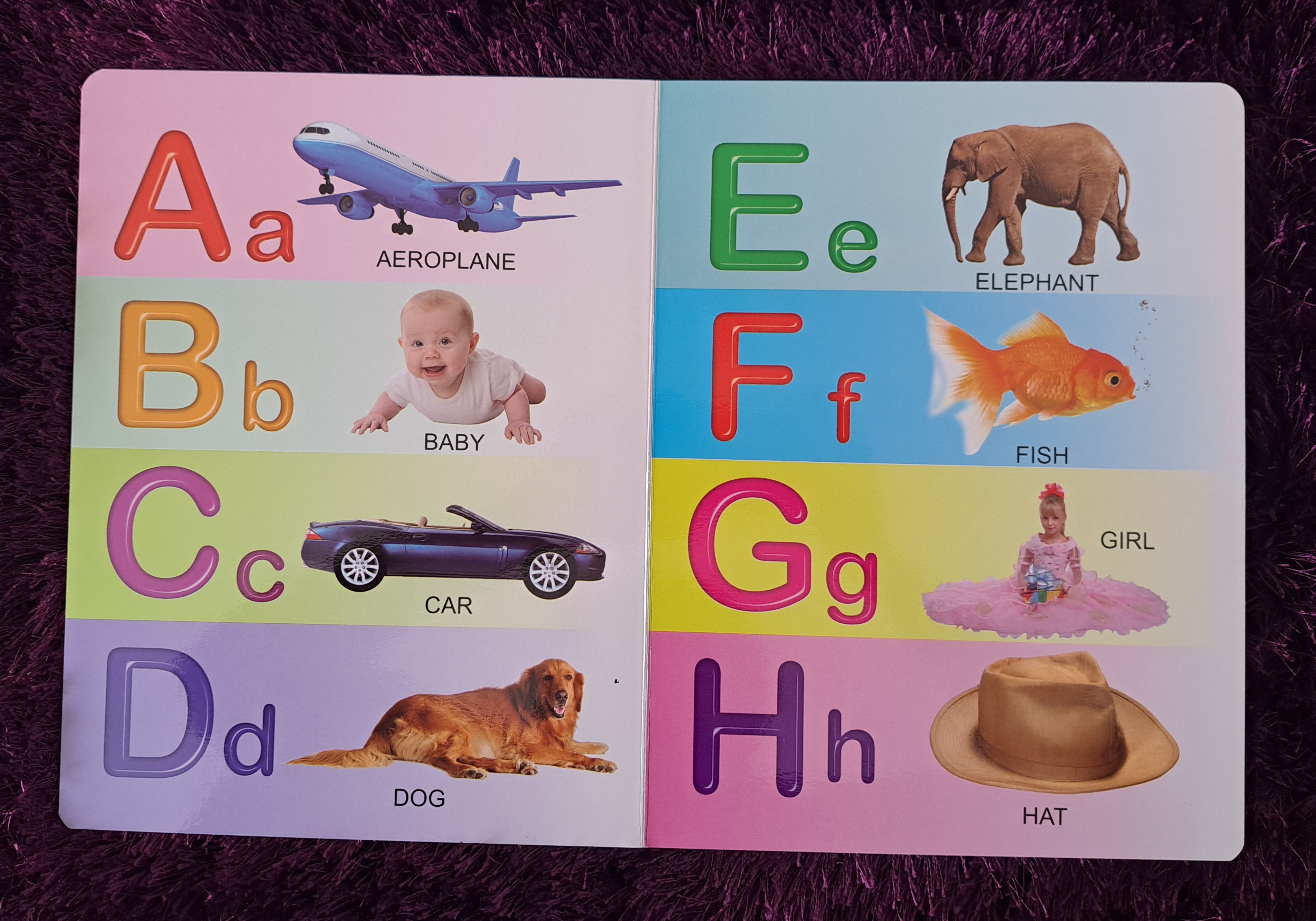  All In One Board Book