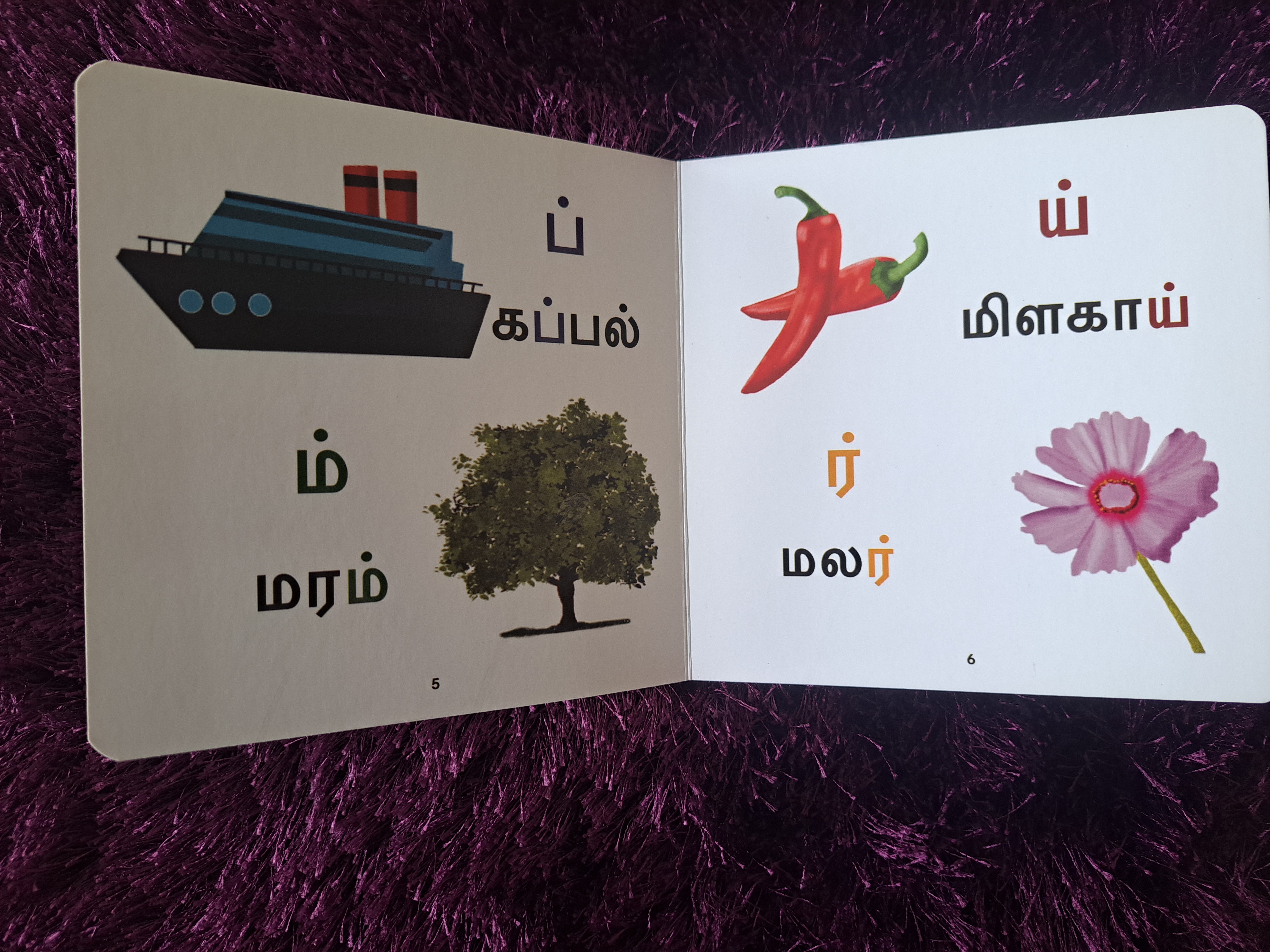 Karpom mei eluthukkal