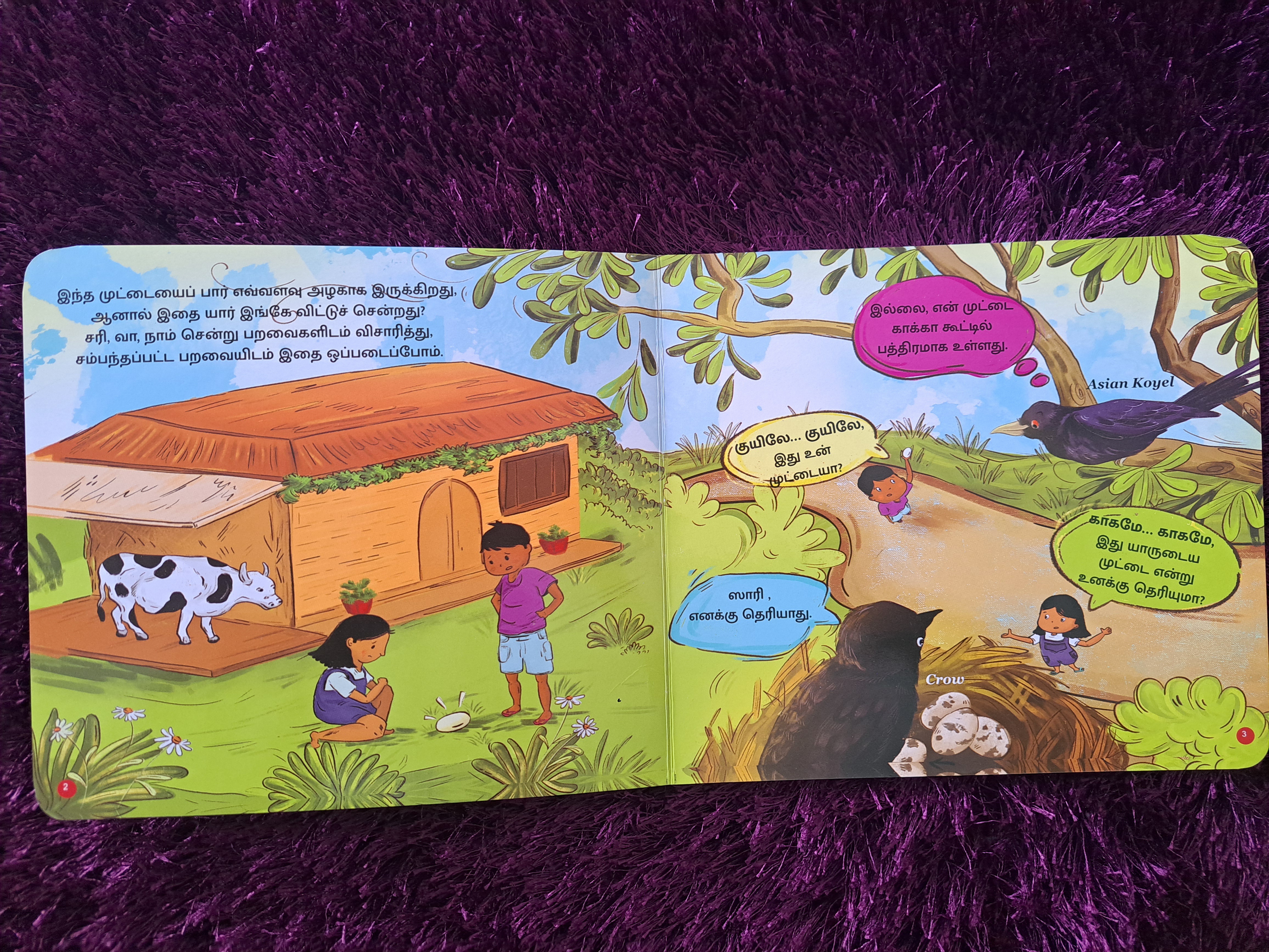 Ethu Entha Paravai Muttai?