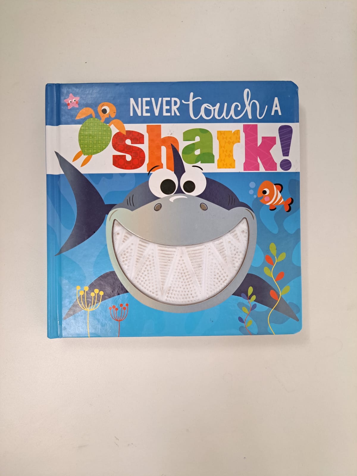 Never Touch a Shark!