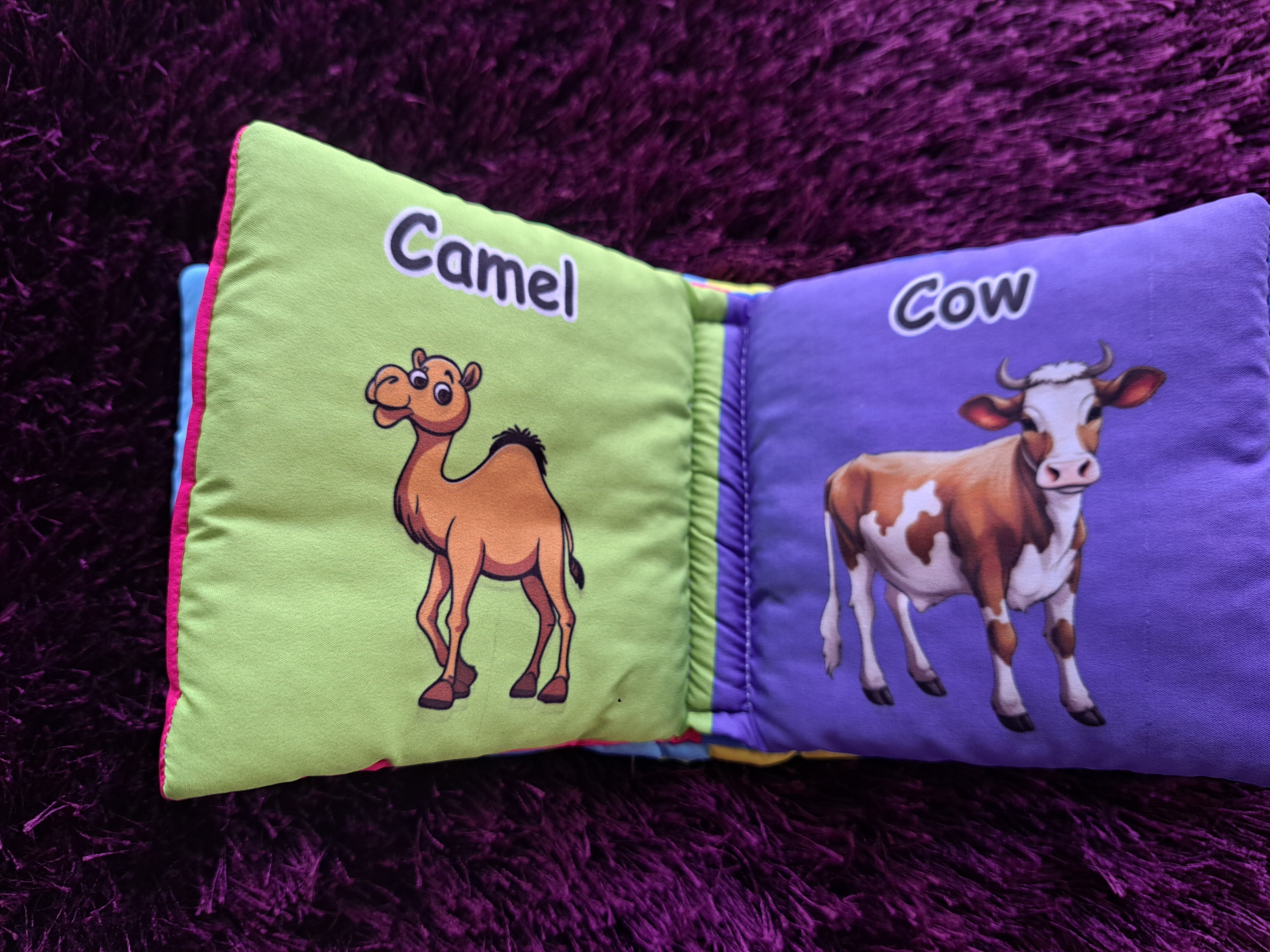 My First Pet Animals