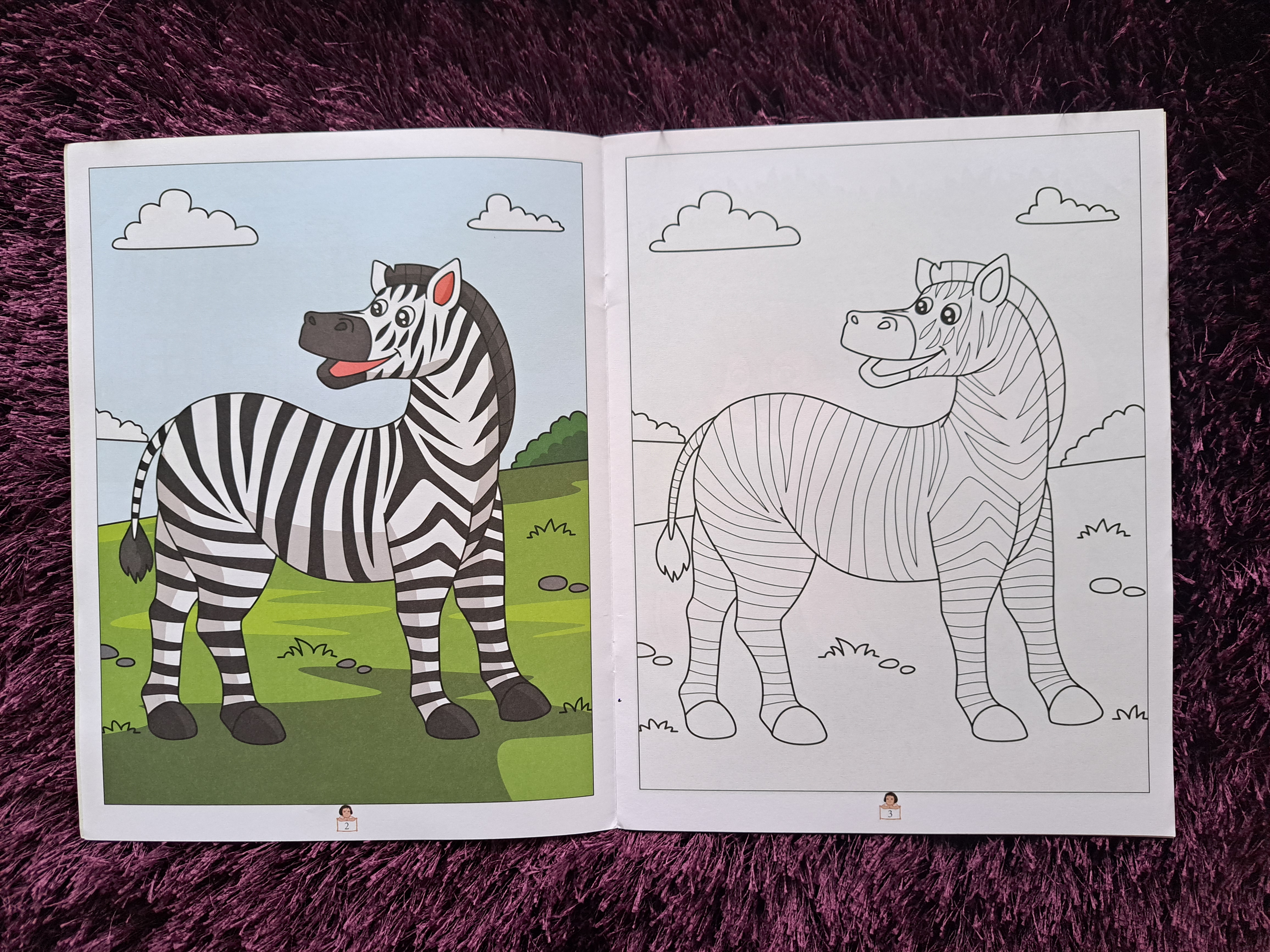 Easy to Draw Copy Colour-2