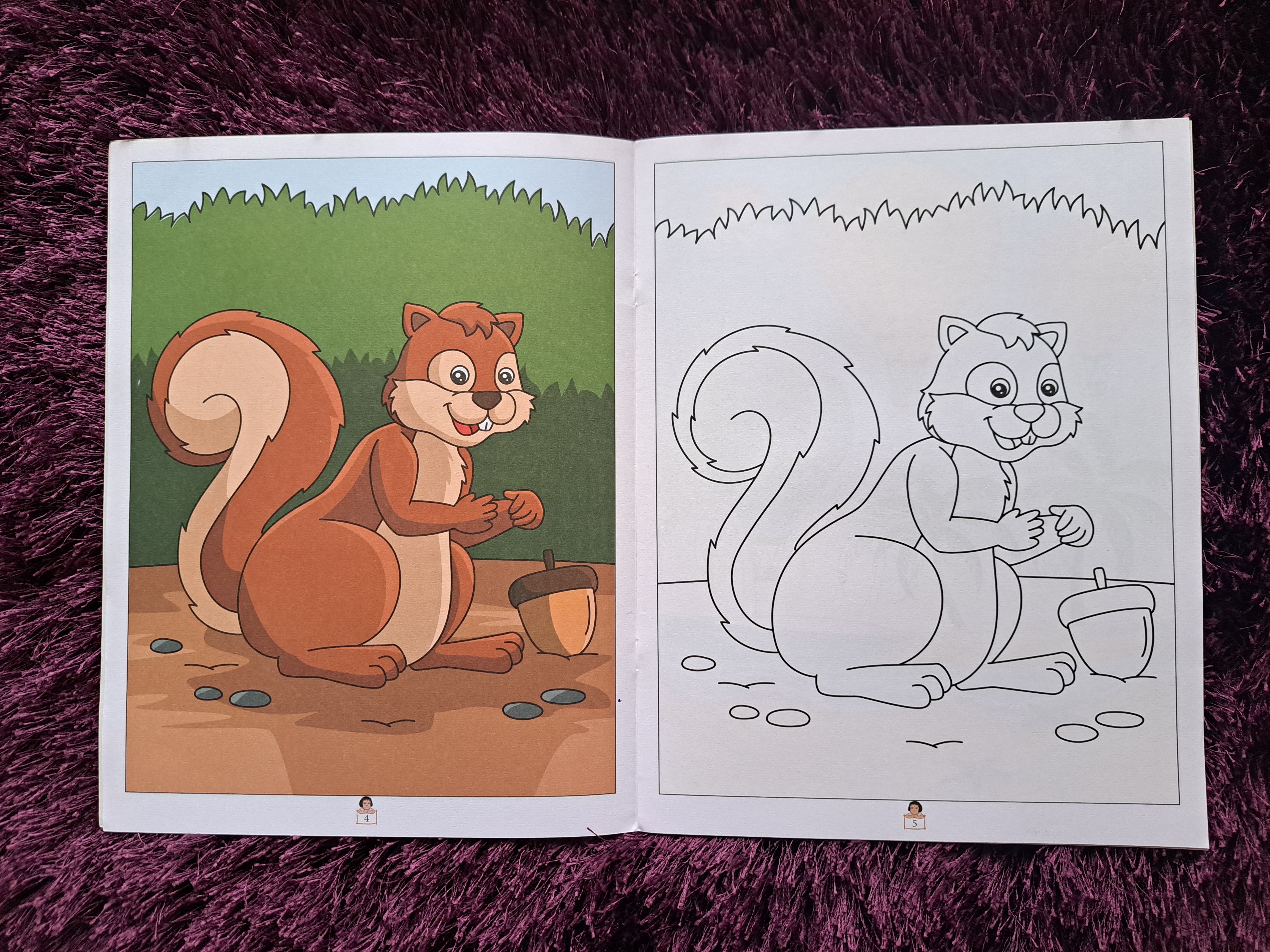 Easy to Draw Copy Colour-2