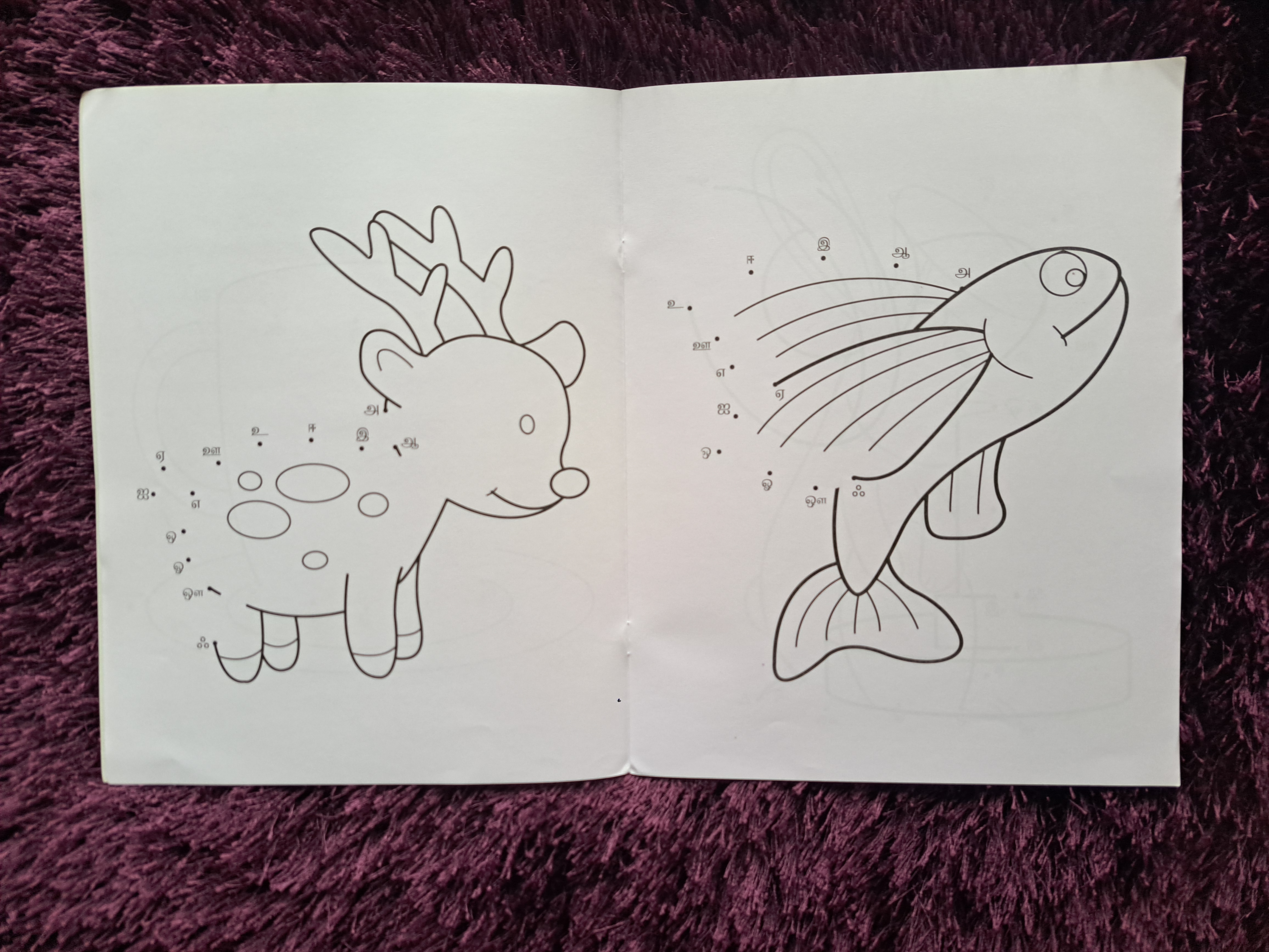 Fun Dot to Dot & Colouring