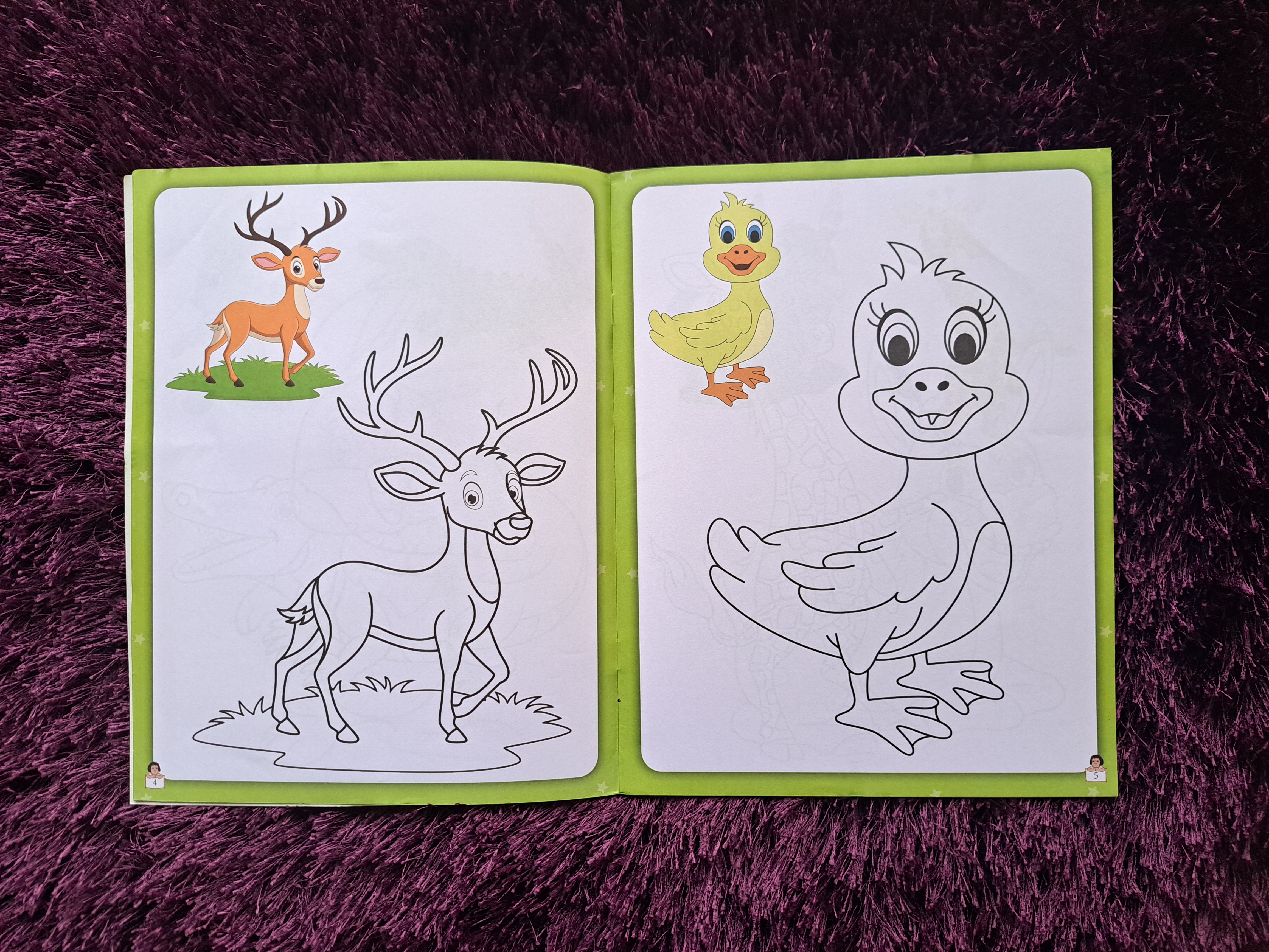 Cute Copy Colour Book